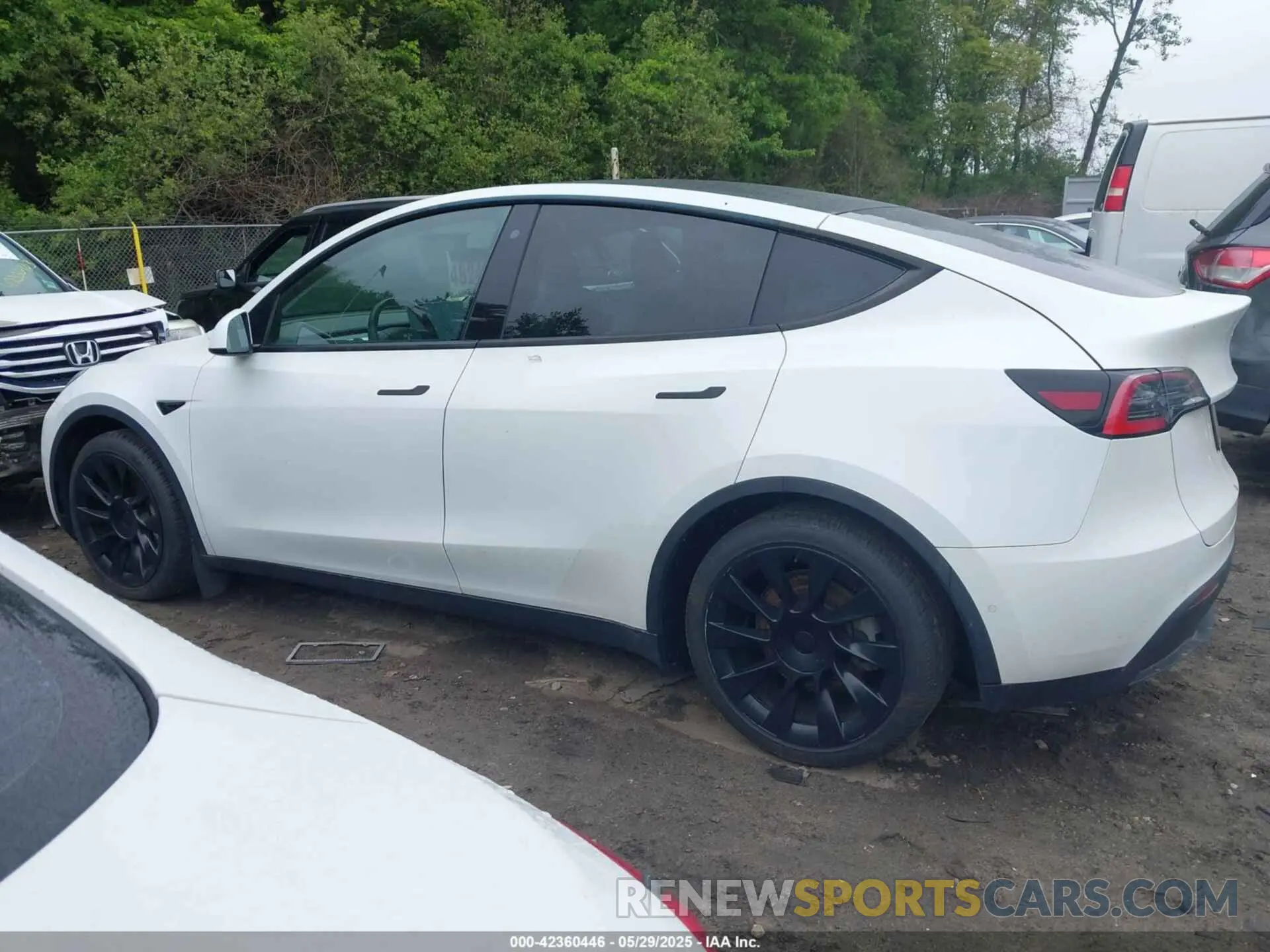 14 fotografías del automóvil dañado 5YJYGDEE7LF042987 TESLA MODEL Y 2020