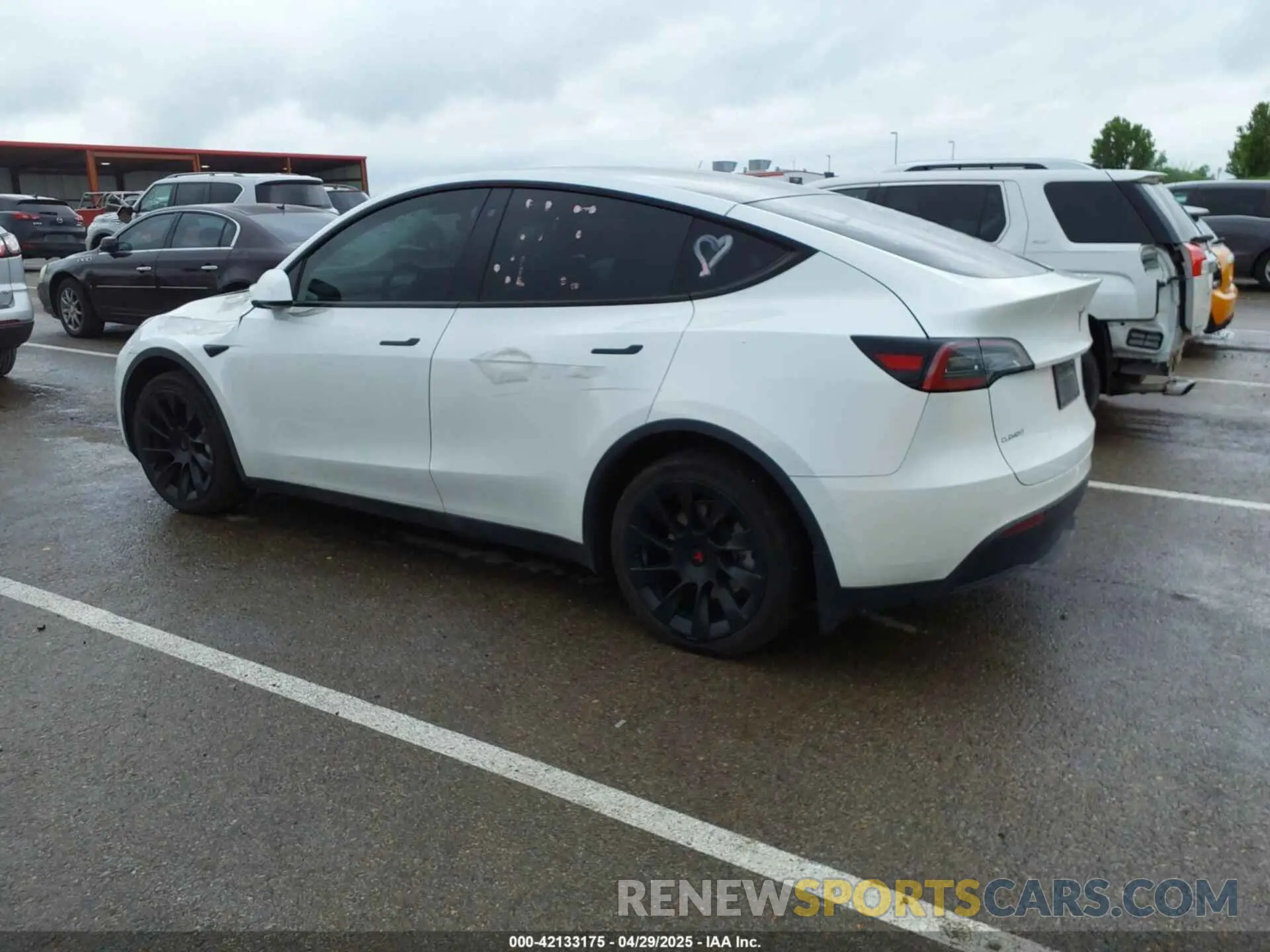 14 fotografías del automóvil dañado 5YJYGDEE8LF012994 TESLA MODEL Y 2020