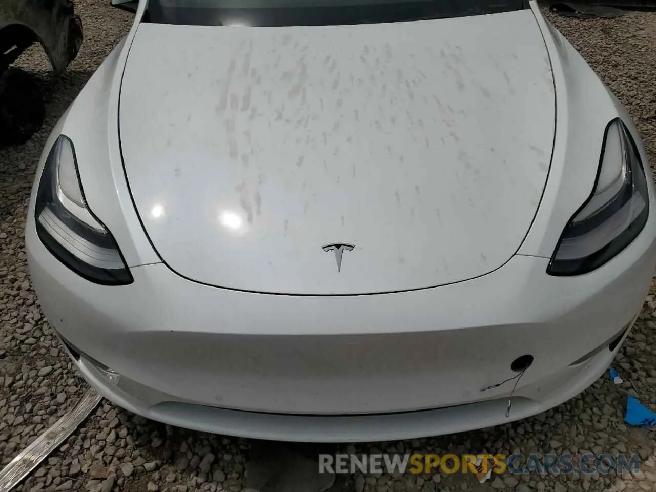 11 fotografías del automóvil dañado 5YJYGDEF3LF028061 TESLA MODEL Y 2020