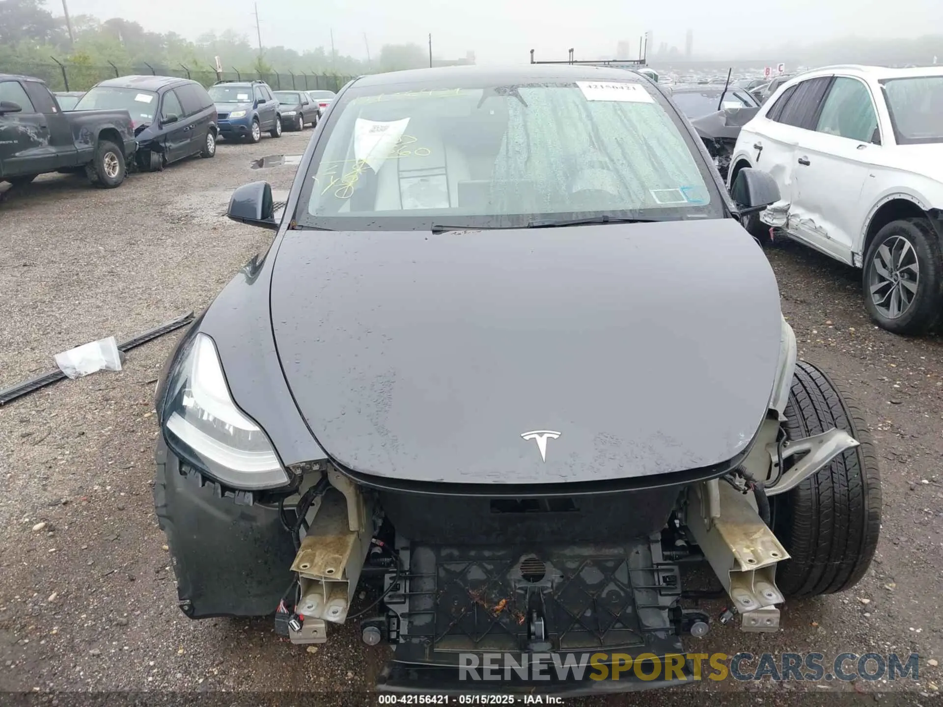 12 fotografías del automóvil dañado 5YJYGAEE1MF145161 TESLA MODEL Y 2021