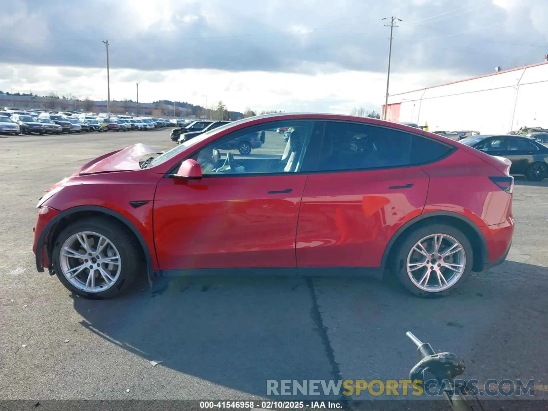 13 fotografías del automóvil dañado 5YJYGAEE4MF131335 TESLA MODEL Y 2021