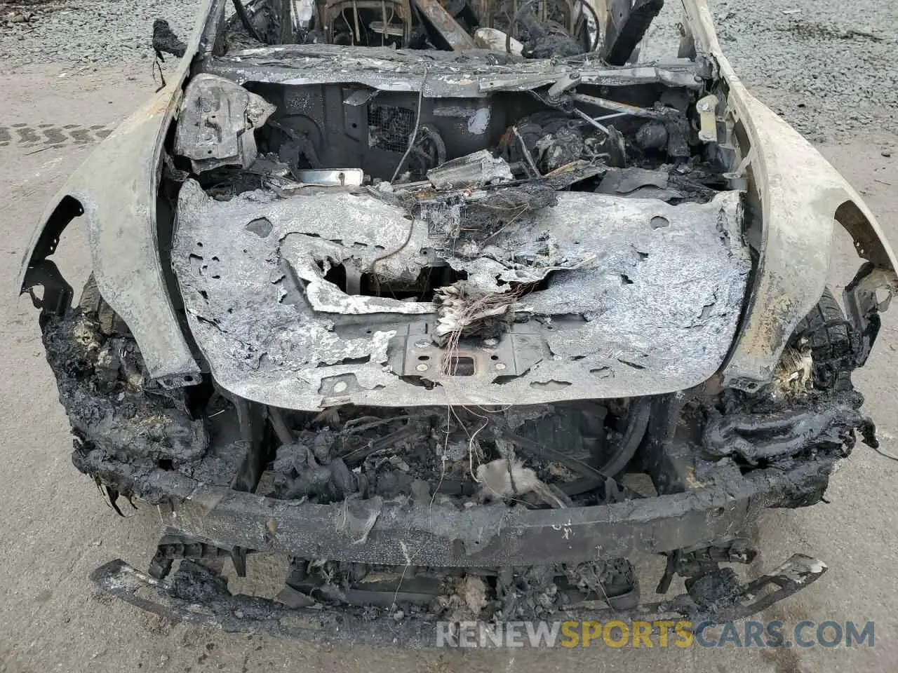 12 fotografías del automóvil dañado 5YJYGAEE8MF188542 TESLA MODEL Y 2021