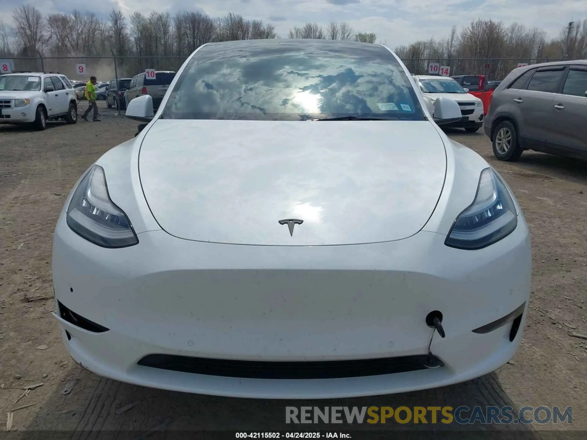 12 fotografías del automóvil dañado 5YJYGAEEXMF149158 TESLA MODEL Y 2021