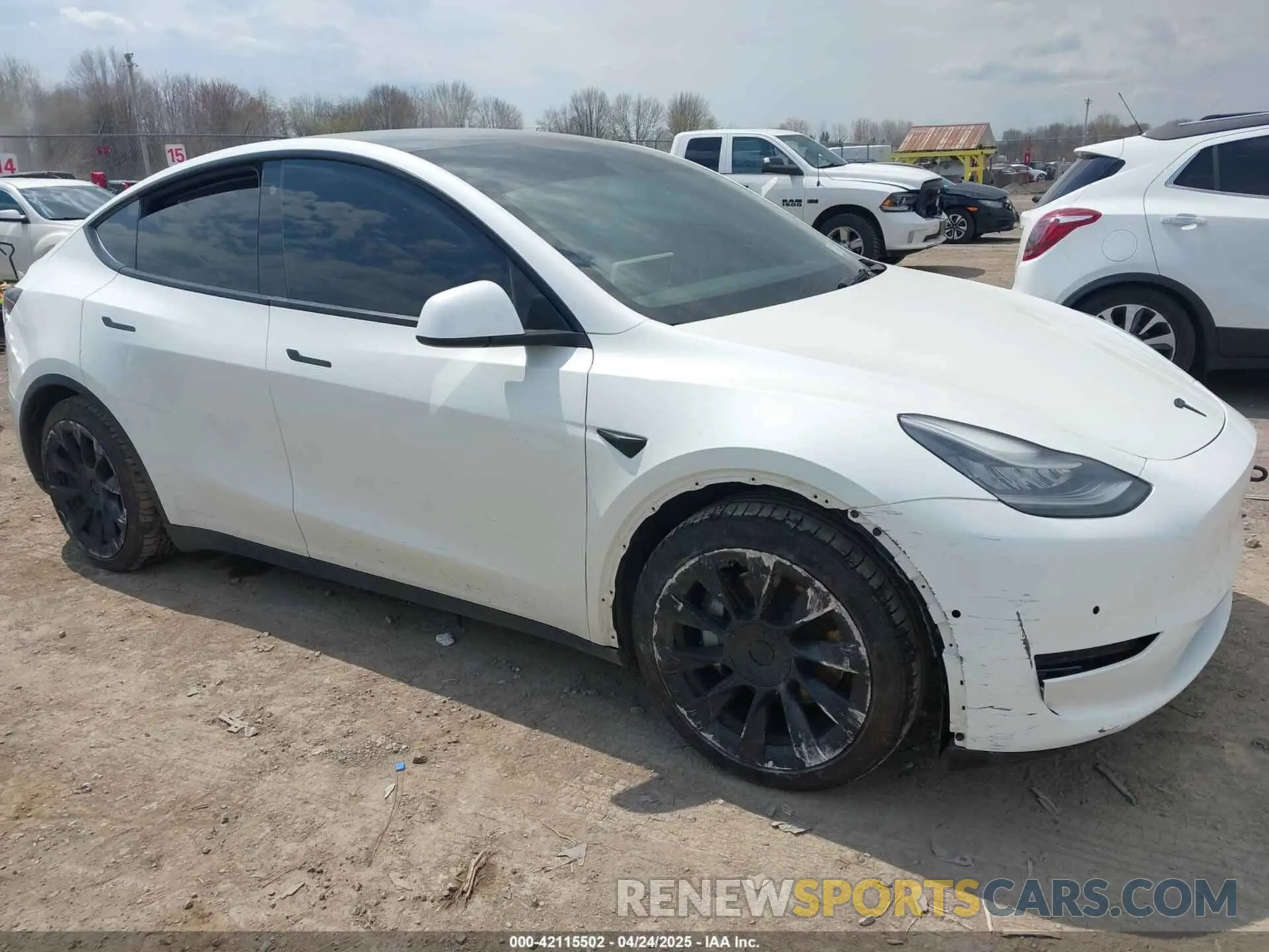 6 fotografías del automóvil dañado 5YJYGAEEXMF149158 TESLA MODEL Y 2021