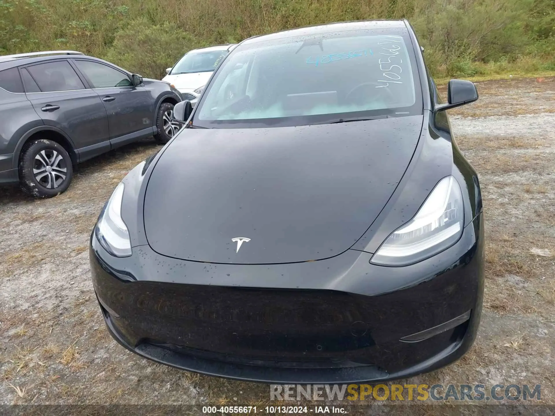 11 fotografías del automóvil dañado 5YJYGAEEXMF188106 TESLA MODEL Y 2021