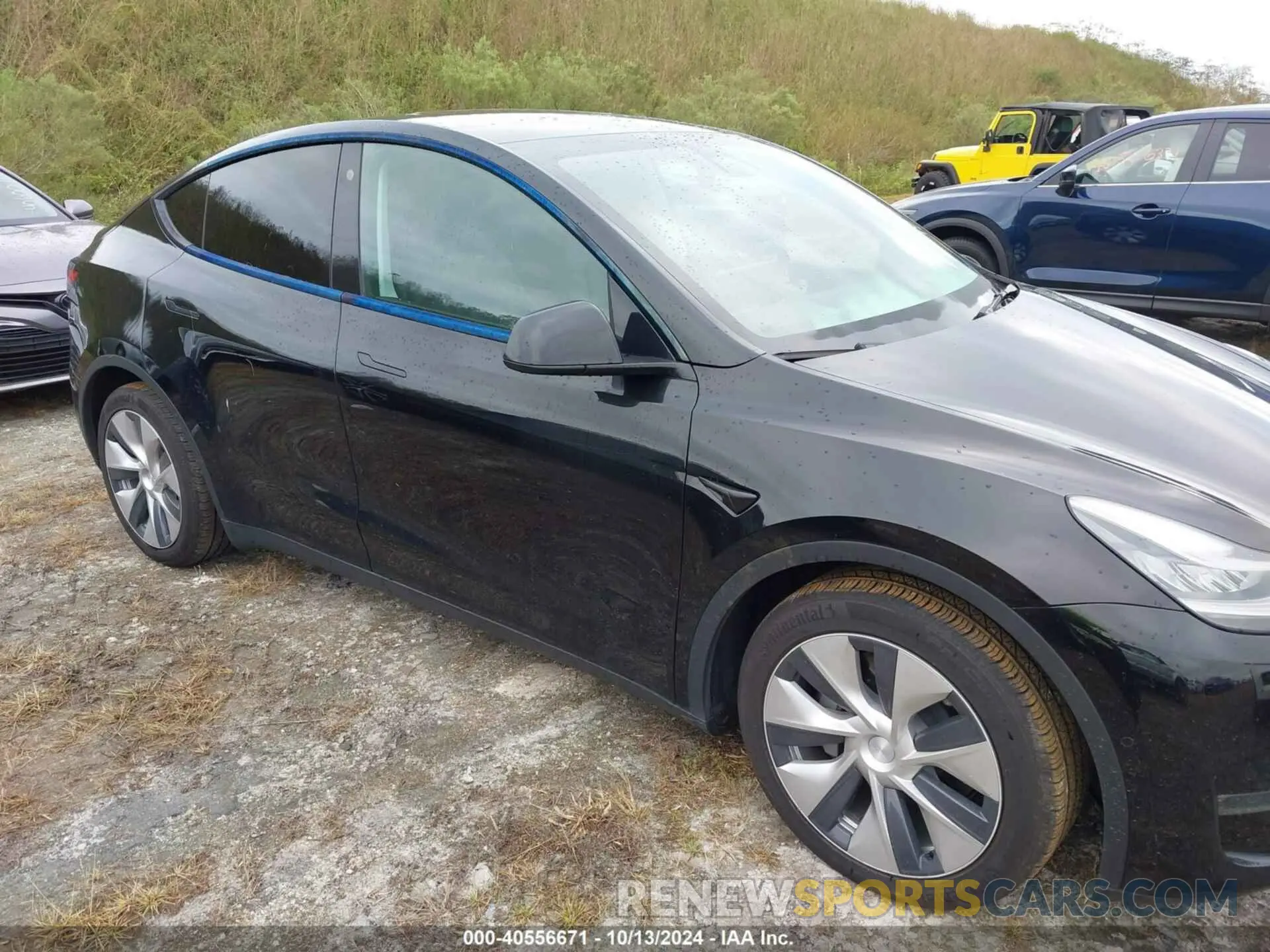 12 fotografías del automóvil dañado 5YJYGAEEXMF188106 TESLA MODEL Y 2021