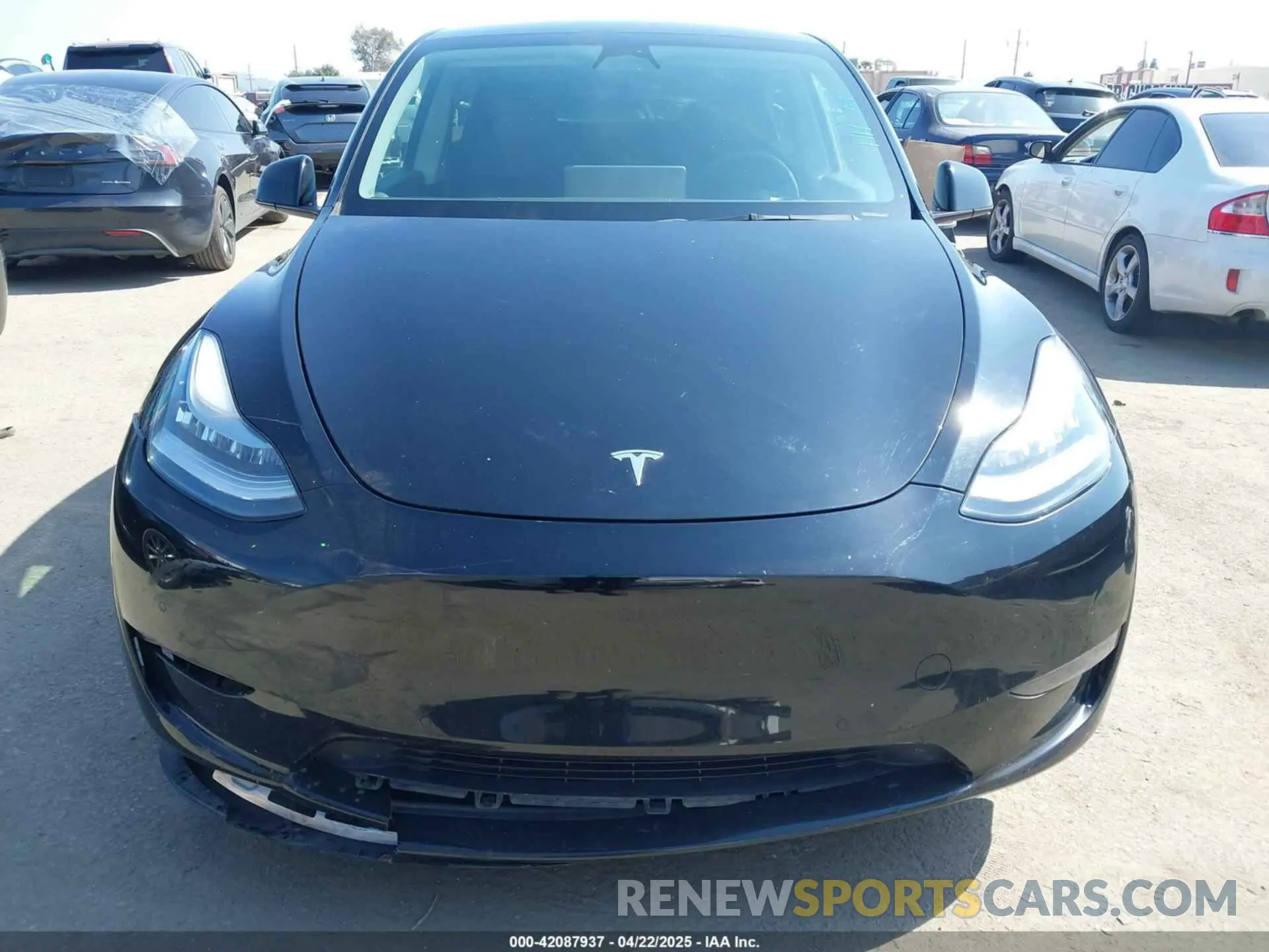 12 fotografías del automóvil dañado 5YJYGDED3MF126569 TESLA MODEL Y 2021