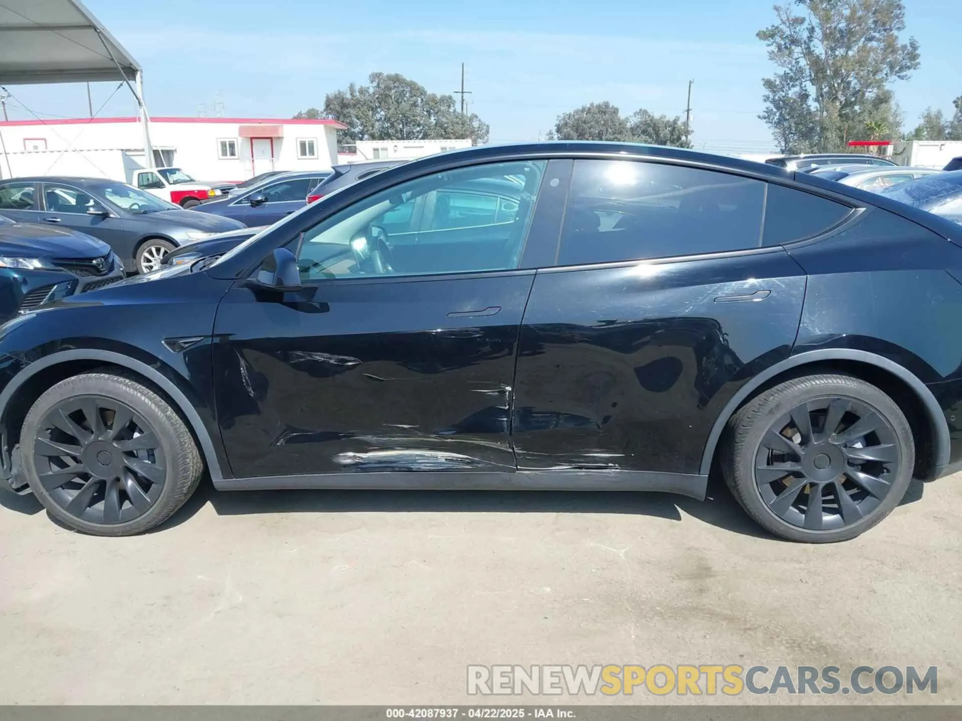 14 fotografías del automóvil dañado 5YJYGDED3MF126569 TESLA MODEL Y 2021