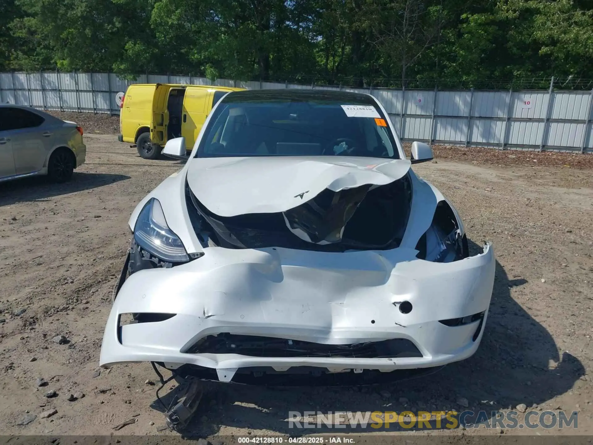 12 fotografías del automóvil dañado 5YJYGDED4MF192824 TESLA MODEL Y 2021