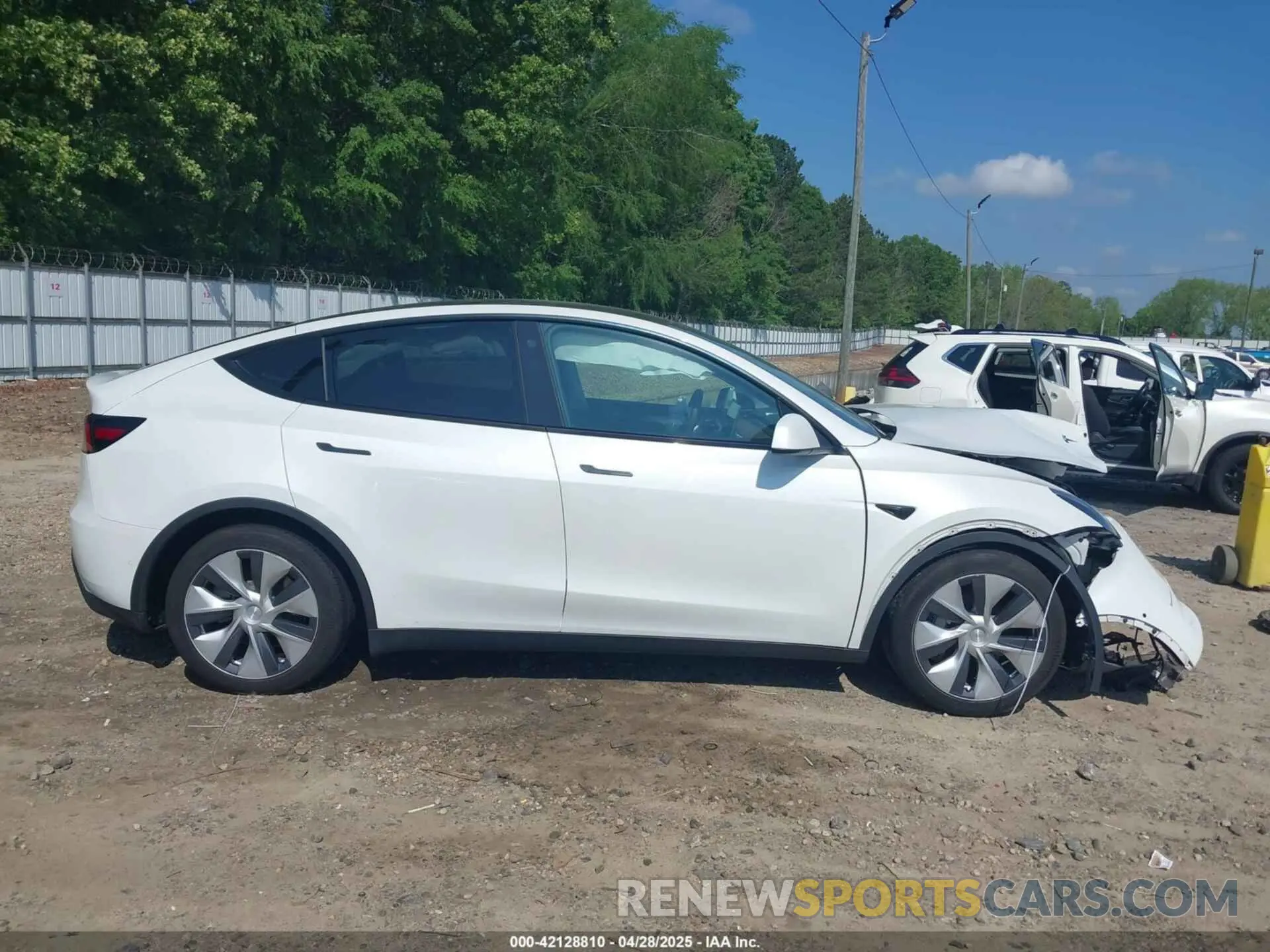 13 fotografías del automóvil dañado 5YJYGDED4MF192824 TESLA MODEL Y 2021