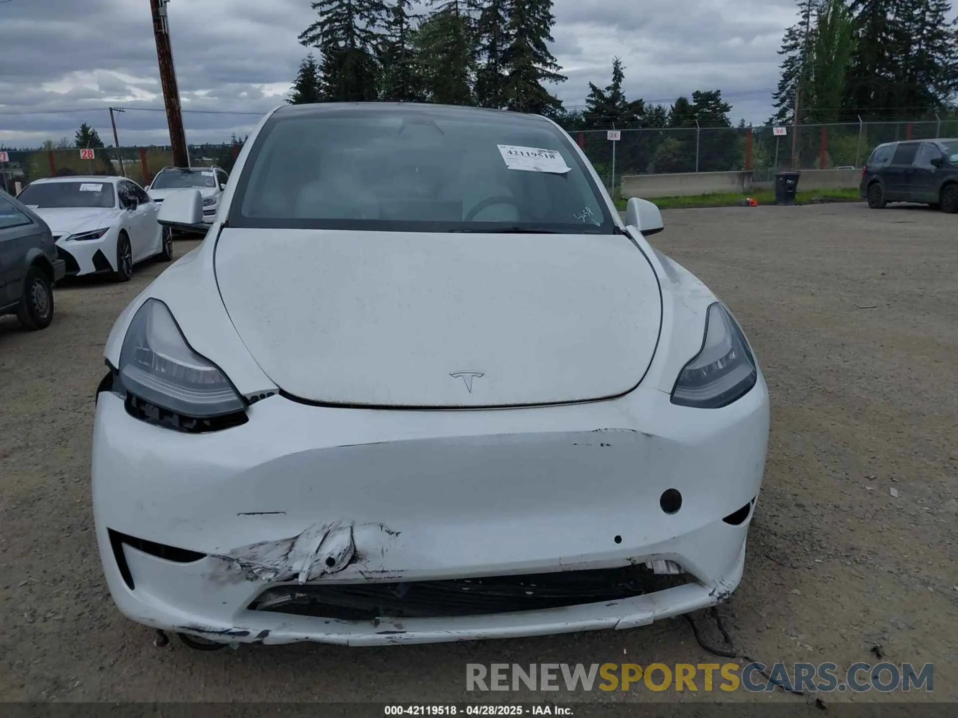 11 fotografías del automóvil dañado 5YJYGDED9MF121828 TESLA MODEL Y 2021