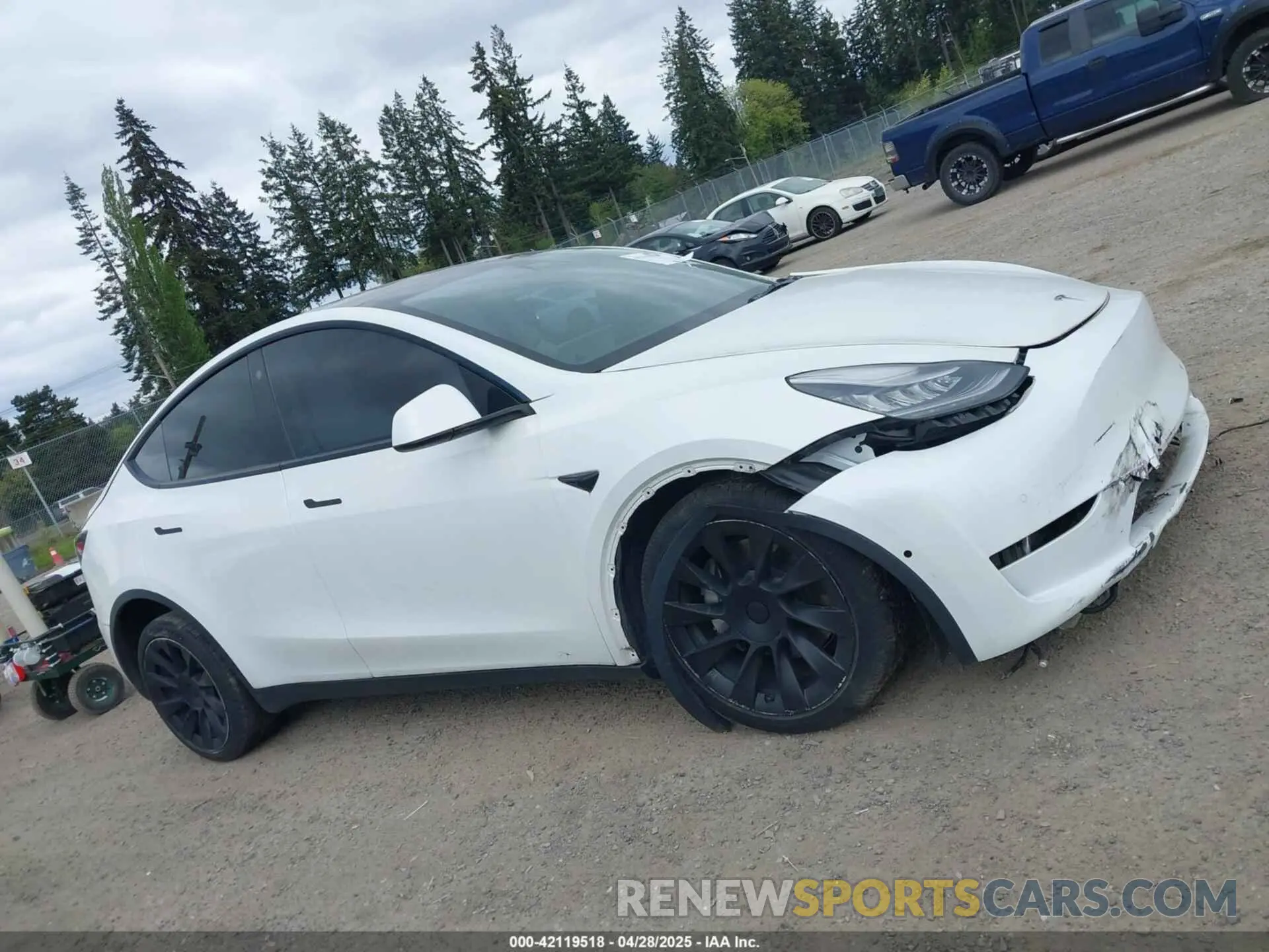 12 fotografías del automóvil dañado 5YJYGDED9MF121828 TESLA MODEL Y 2021