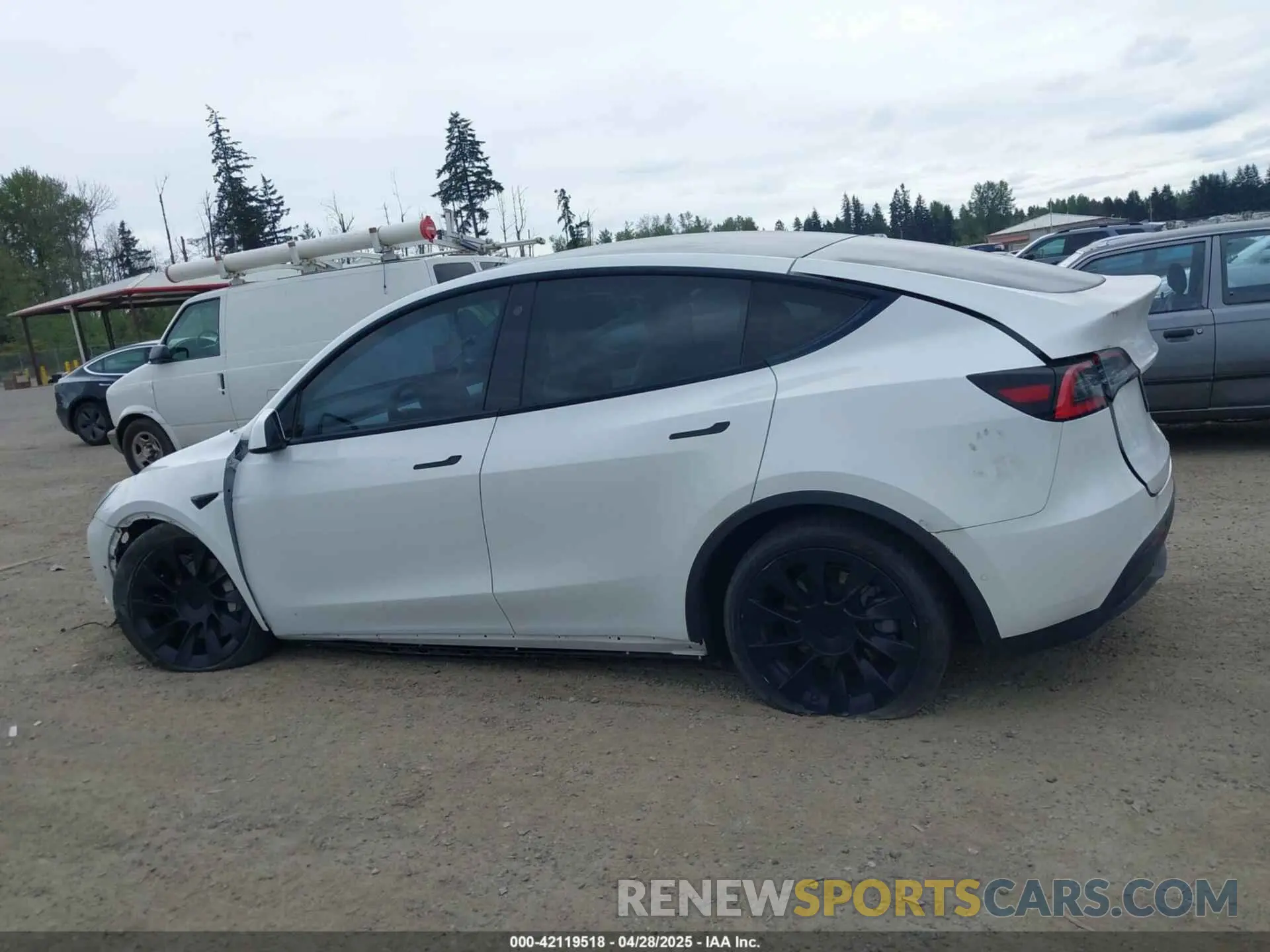 13 fotografías del automóvil dañado 5YJYGDED9MF121828 TESLA MODEL Y 2021