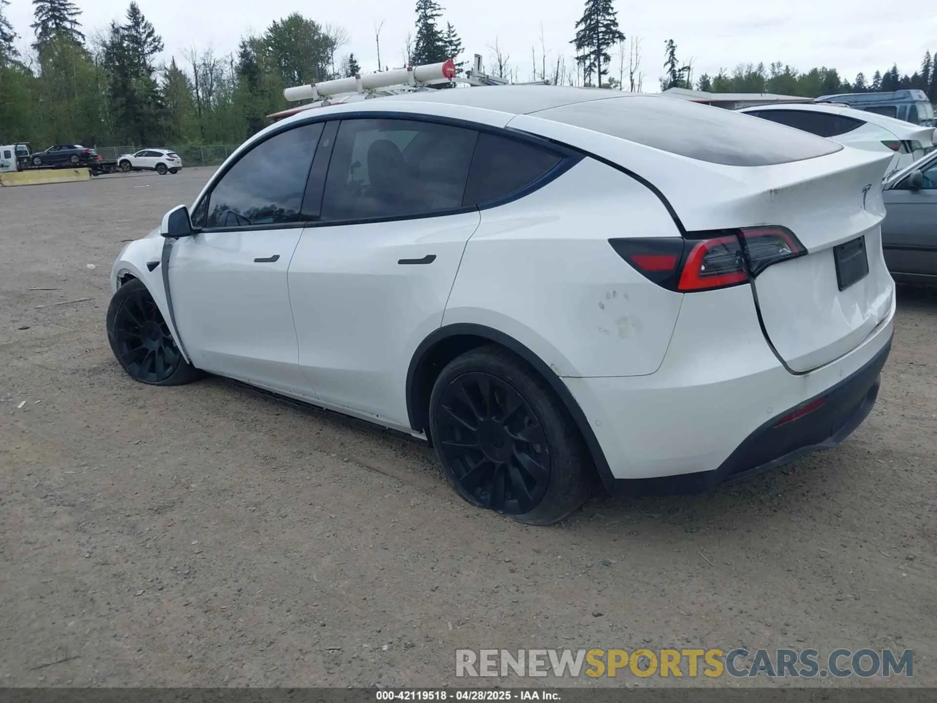 3 fotografías del automóvil dañado 5YJYGDED9MF121828 TESLA MODEL Y 2021