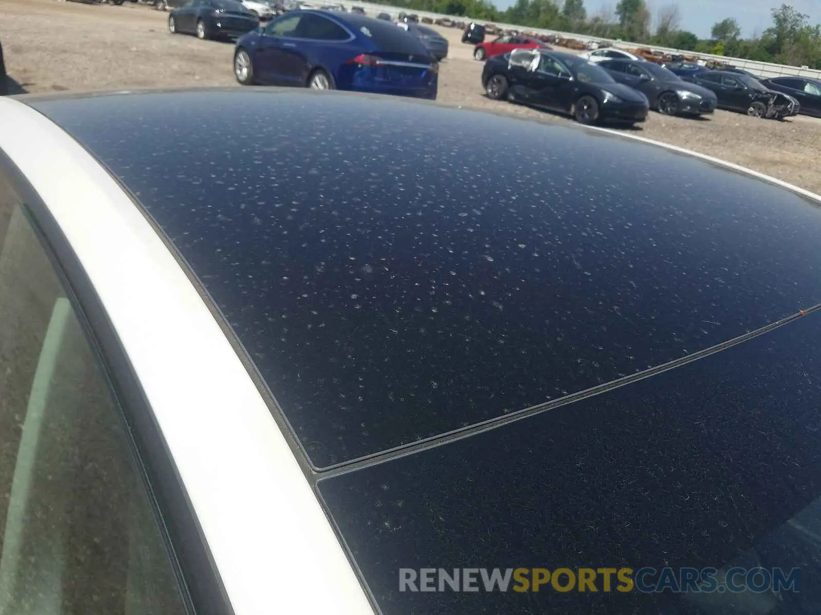 9 fotografías del automóvil dañado 5YJYGDEE0MF191176 TESLA MODEL Y 2021