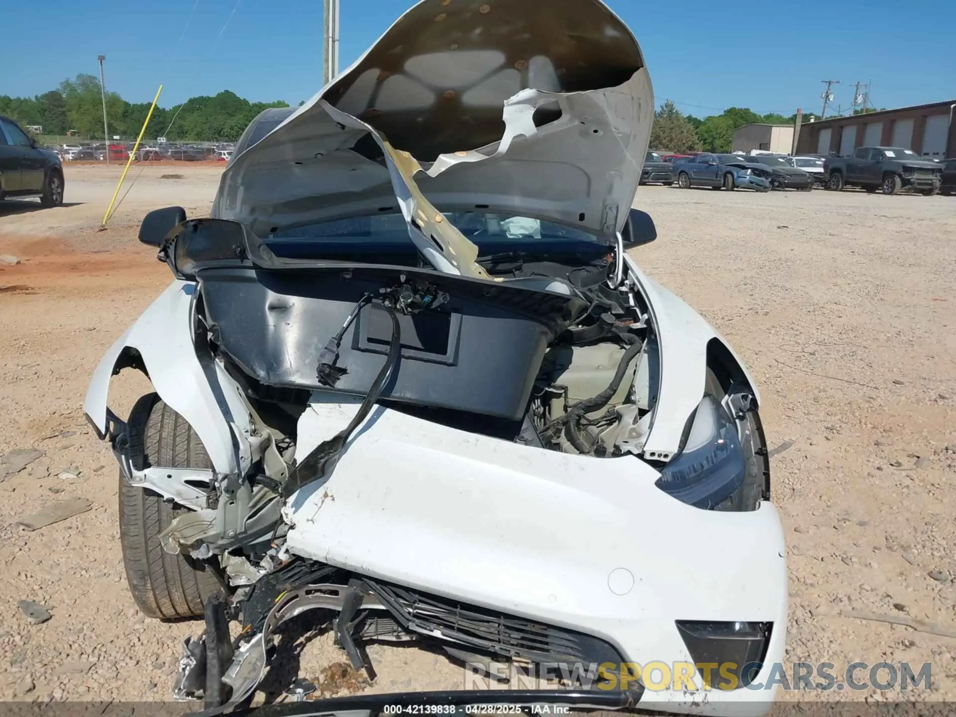 11 fotografías del automóvil dañado 5YJYGDEE0MF204377 TESLA MODEL Y 2021