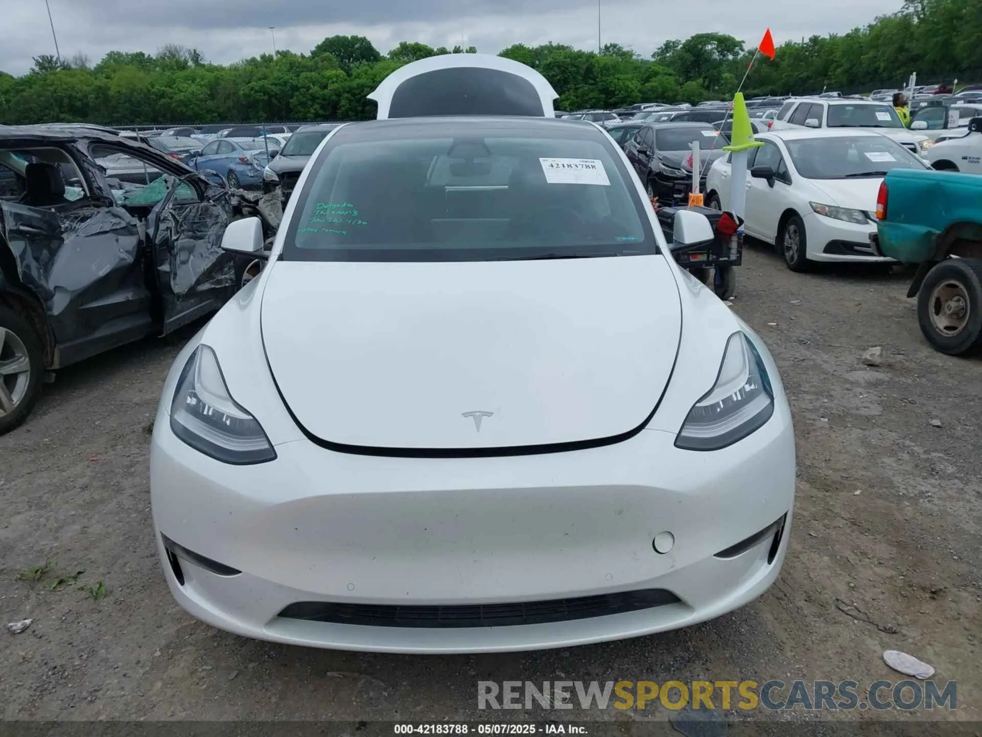 12 fotografías del automóvil dañado 5YJYGDEE0MF233524 TESLA MODEL Y 2021