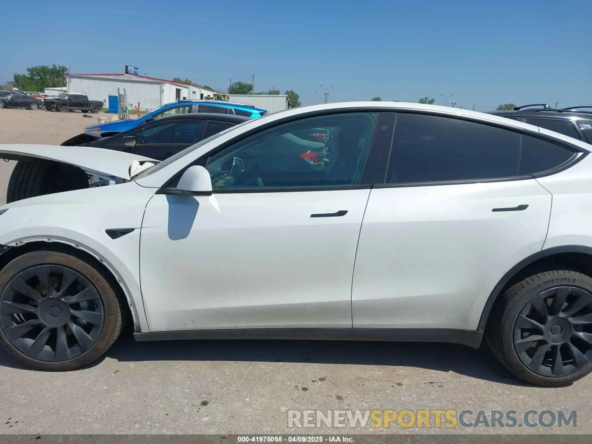 13 fotografías del automóvil dañado 5YJYGDEE0MF265339 TESLA MODEL Y 2021