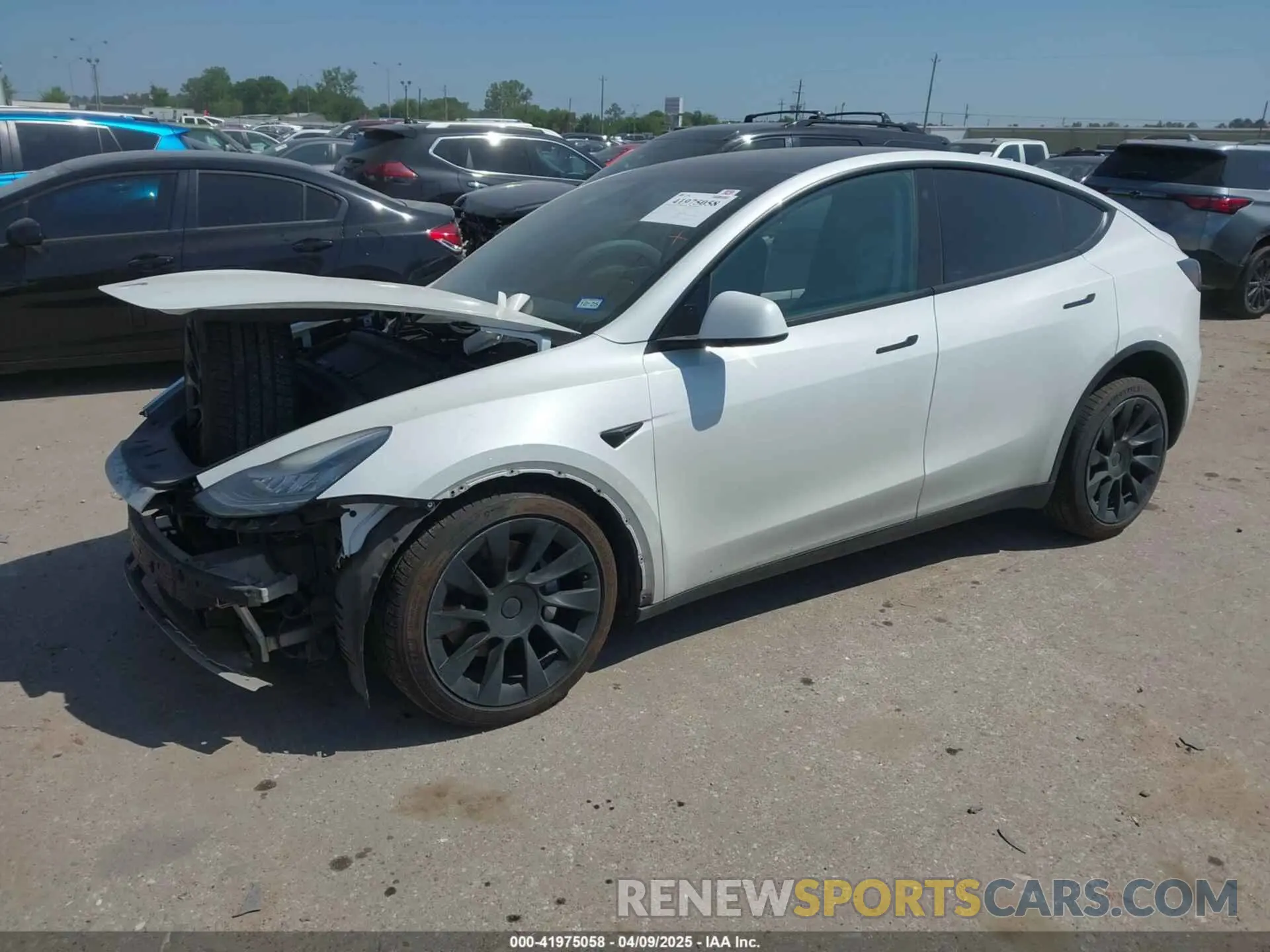 2 fotografías del automóvil dañado 5YJYGDEE0MF265339 TESLA MODEL Y 2021