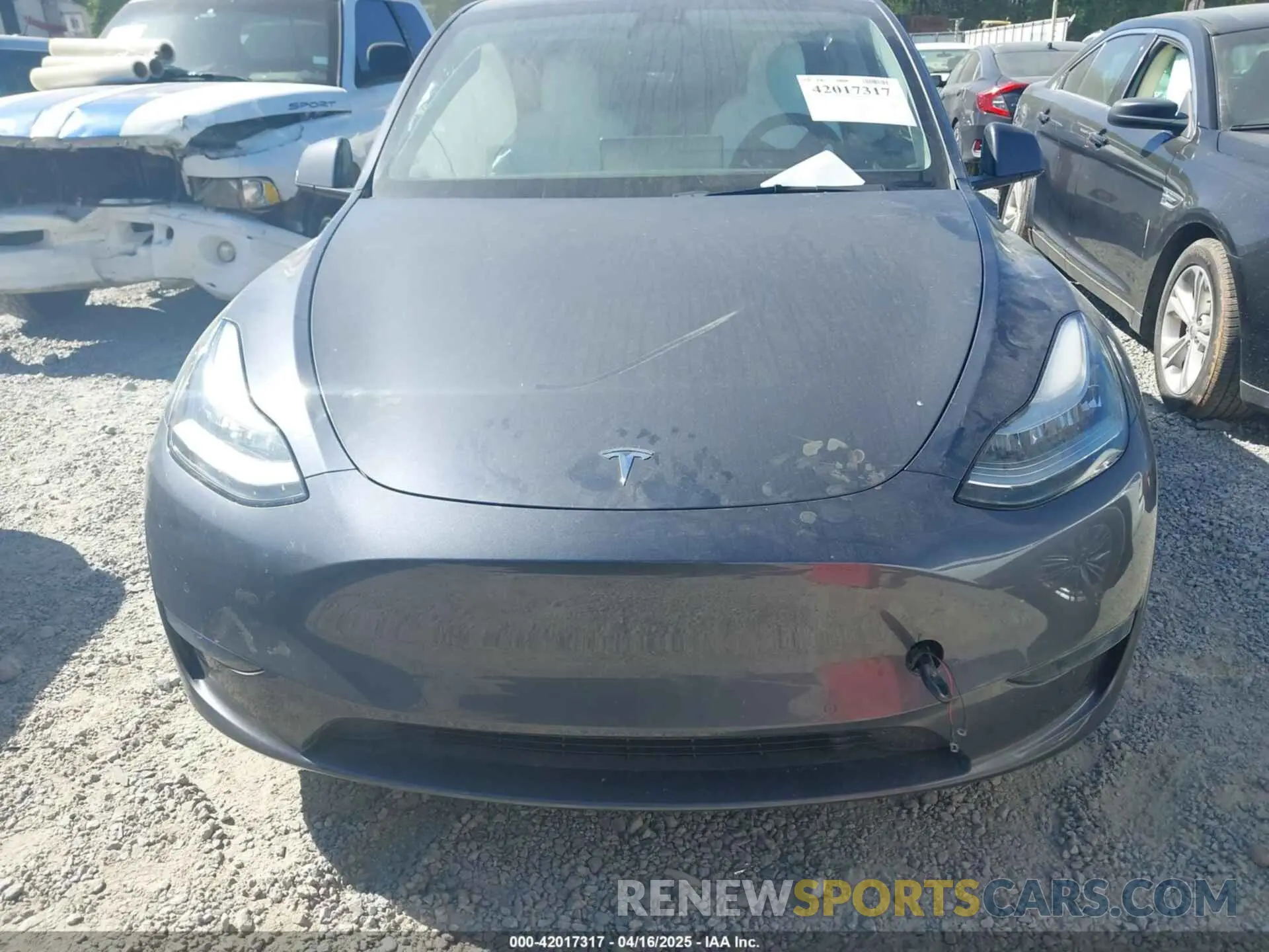 12 fotografías del automóvil dañado 5YJYGDEE0MF295134 TESLA MODEL Y 2021