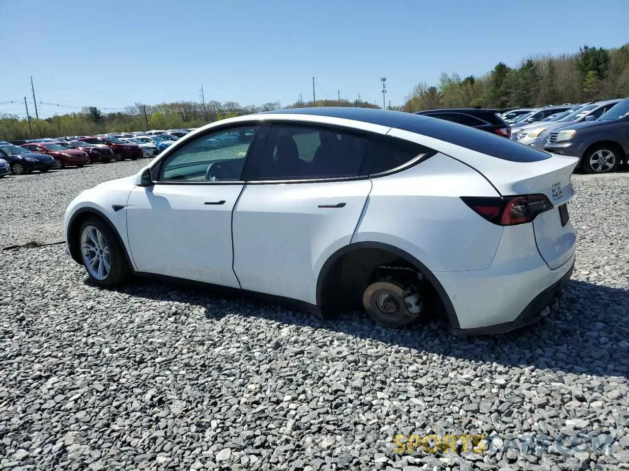 2 fotografías del automóvil dañado 5YJYGDEE1MF119872 TESLA MODEL Y 2021