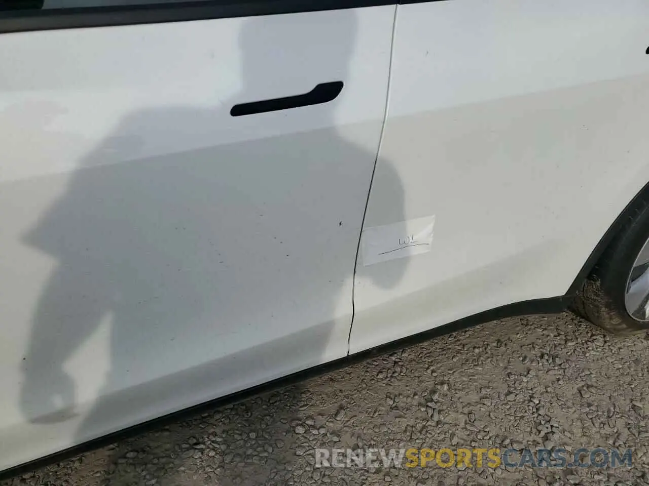 12 fotografías del automóvil dañado 5YJYGDEE1MF233600 TESLA MODEL Y 2021