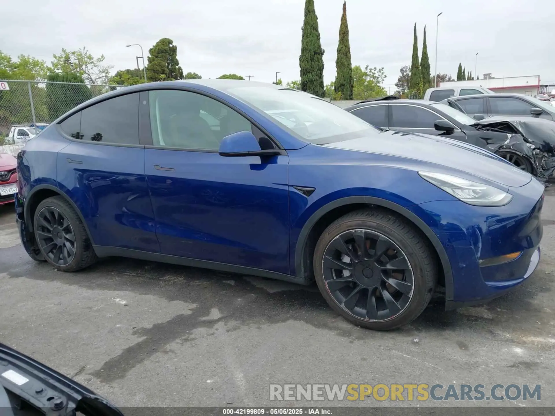 14 fotografías del automóvil dañado 5YJYGDEE1MF282196 TESLA MODEL Y 2021