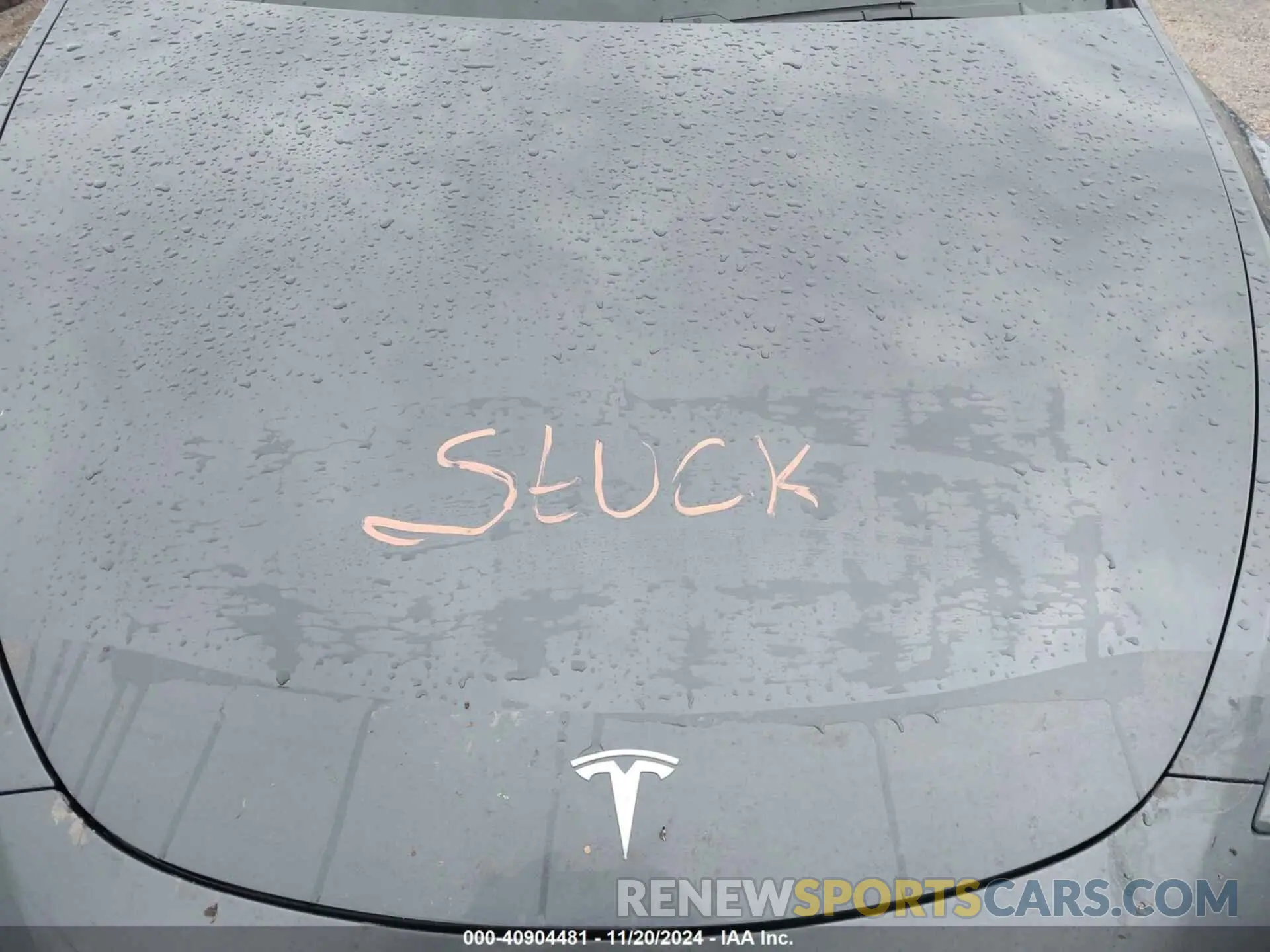 10 fotografías del automóvil dañado 5YJYGDEE2MF068768 TESLA MODEL Y 2021