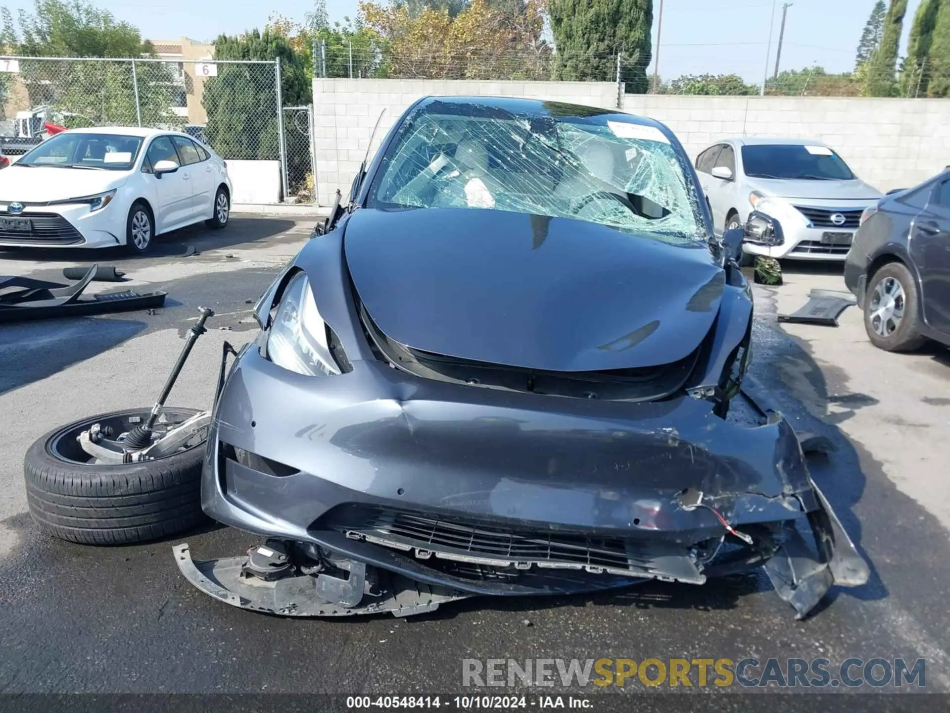12 fotografías del automóvil dañado 5YJYGDEE3MF098040 TESLA MODEL Y 2021