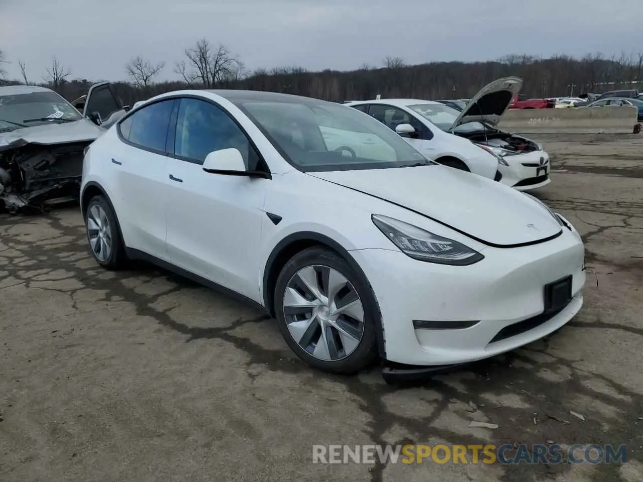 4 fotografías del automóvil dañado 5YJYGDEE3MF140724 TESLA MODEL Y 2021