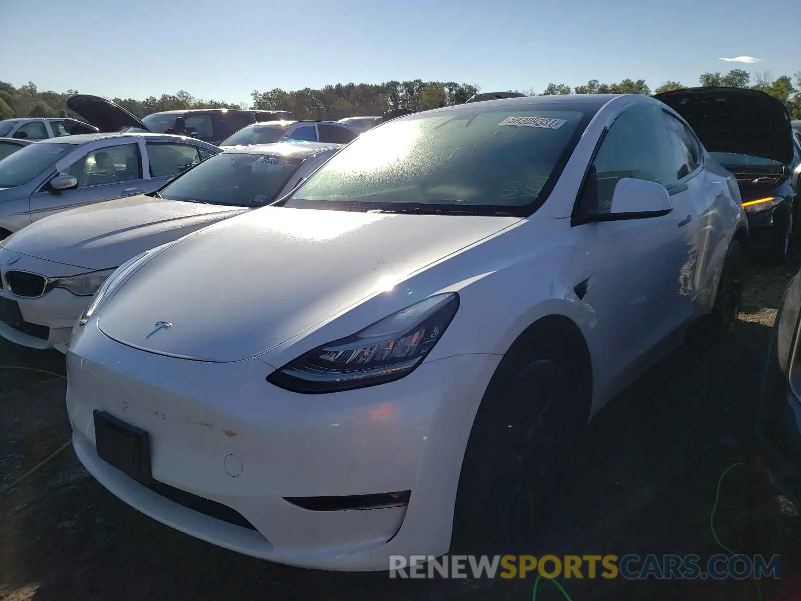 2 fotografías del automóvil dañado 5YJYGDEE3MF143686 TESLA MODEL Y 2021