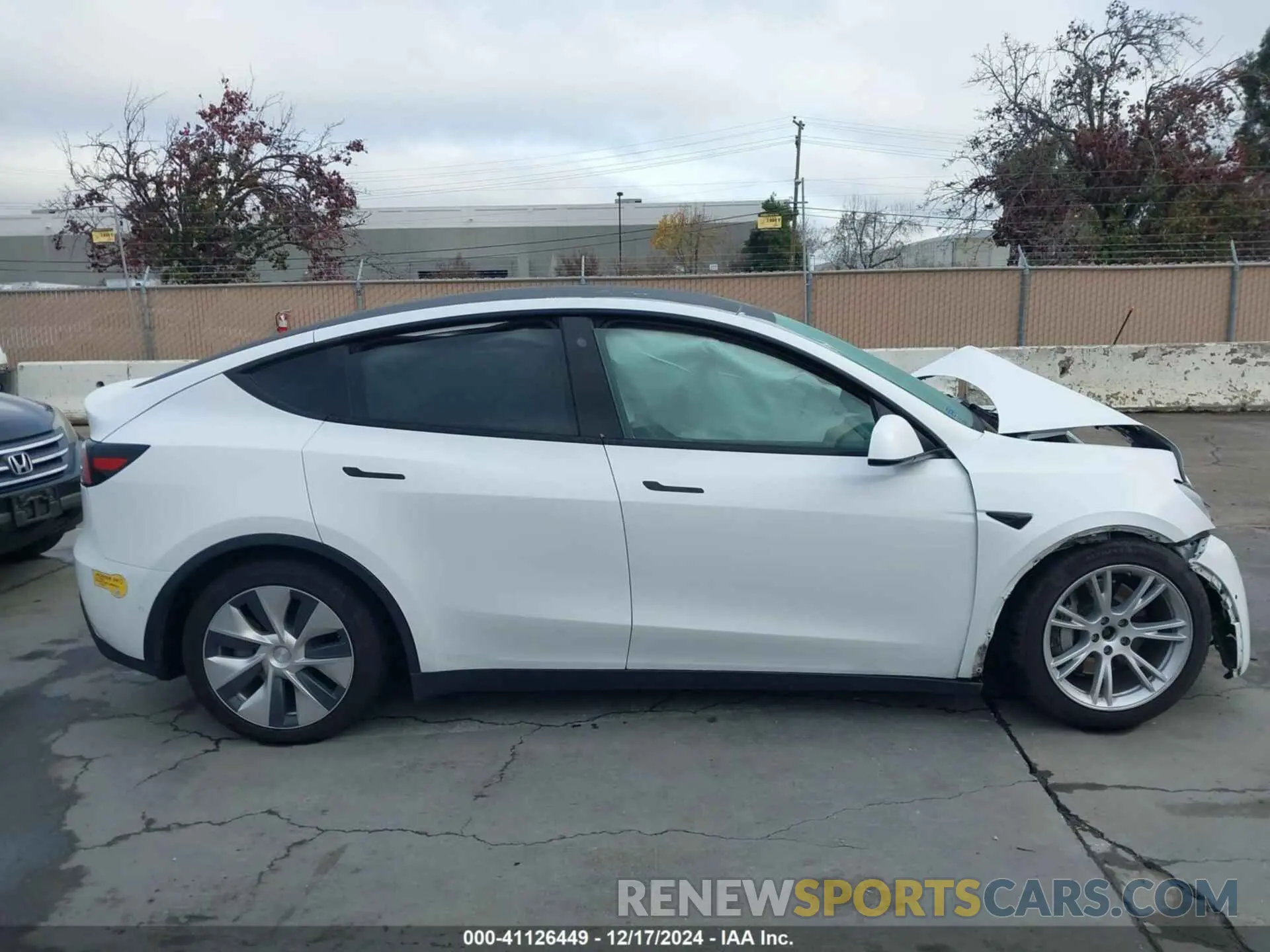12 fotografías del automóvil dañado 5YJYGDEE3MF160925 TESLA MODEL Y 2021