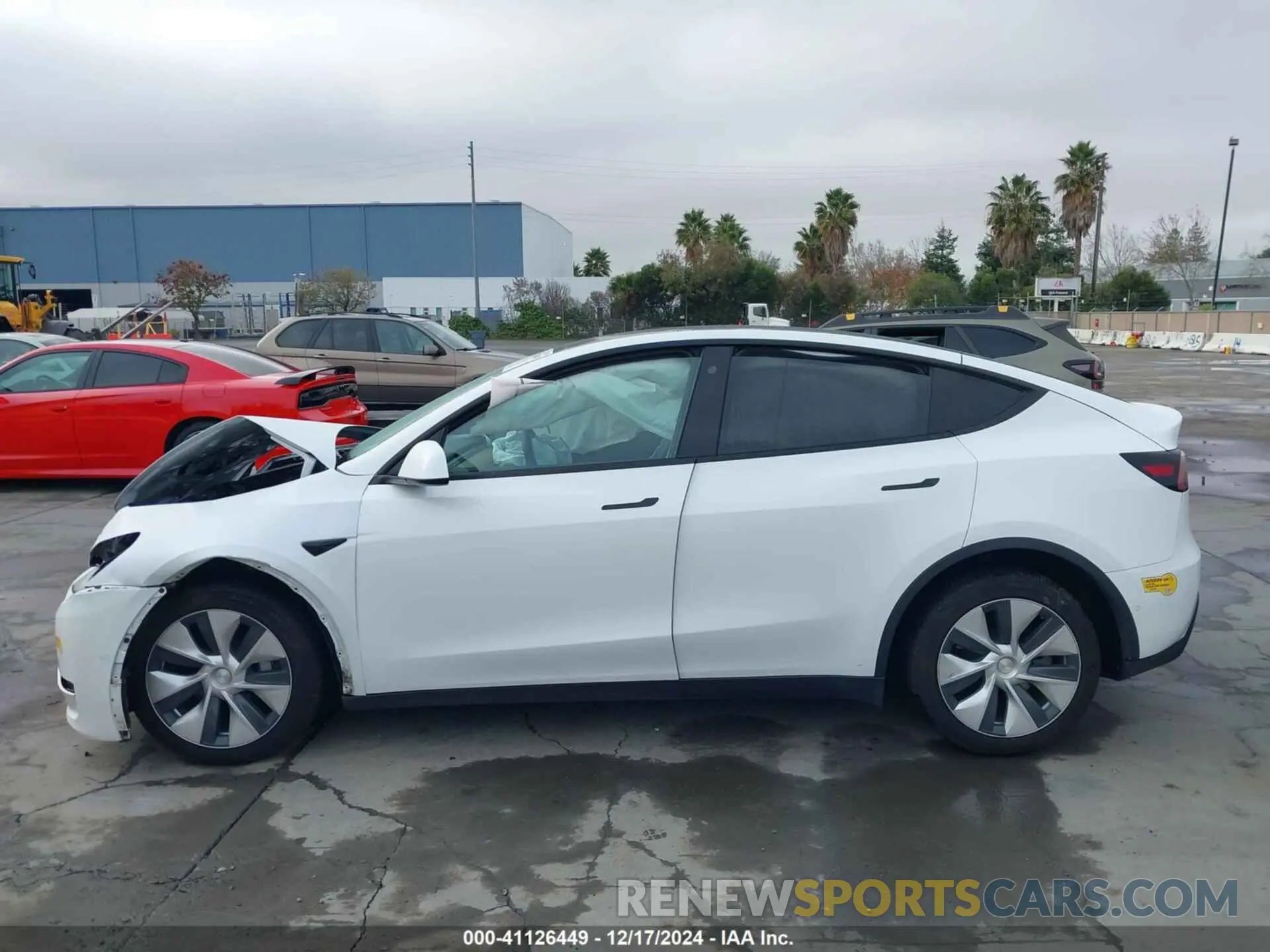 13 fotografías del automóvil dañado 5YJYGDEE3MF160925 TESLA MODEL Y 2021