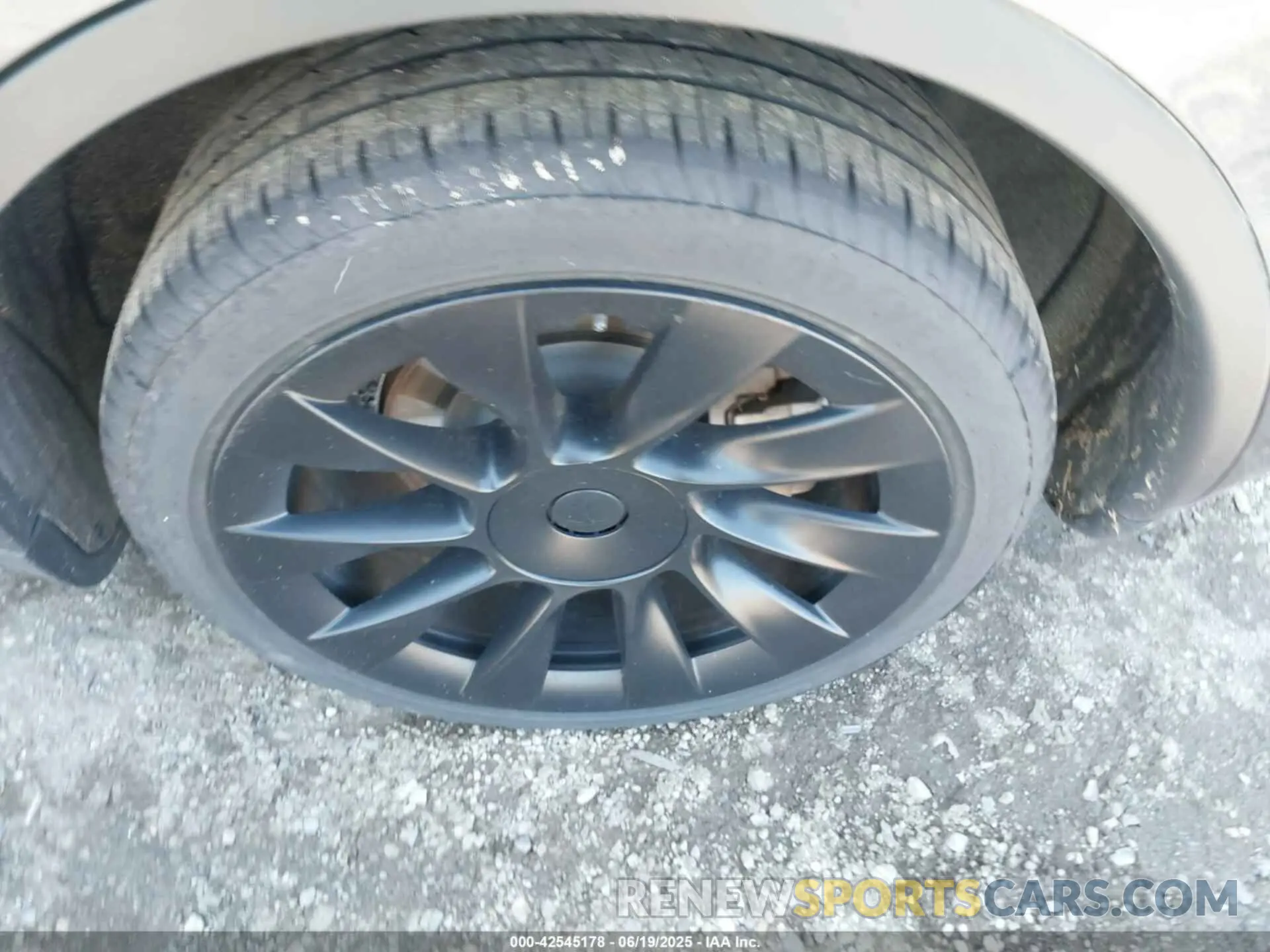 12 fotografías del automóvil dañado 5YJYGDEE3MF192001 TESLA MODEL Y 2021