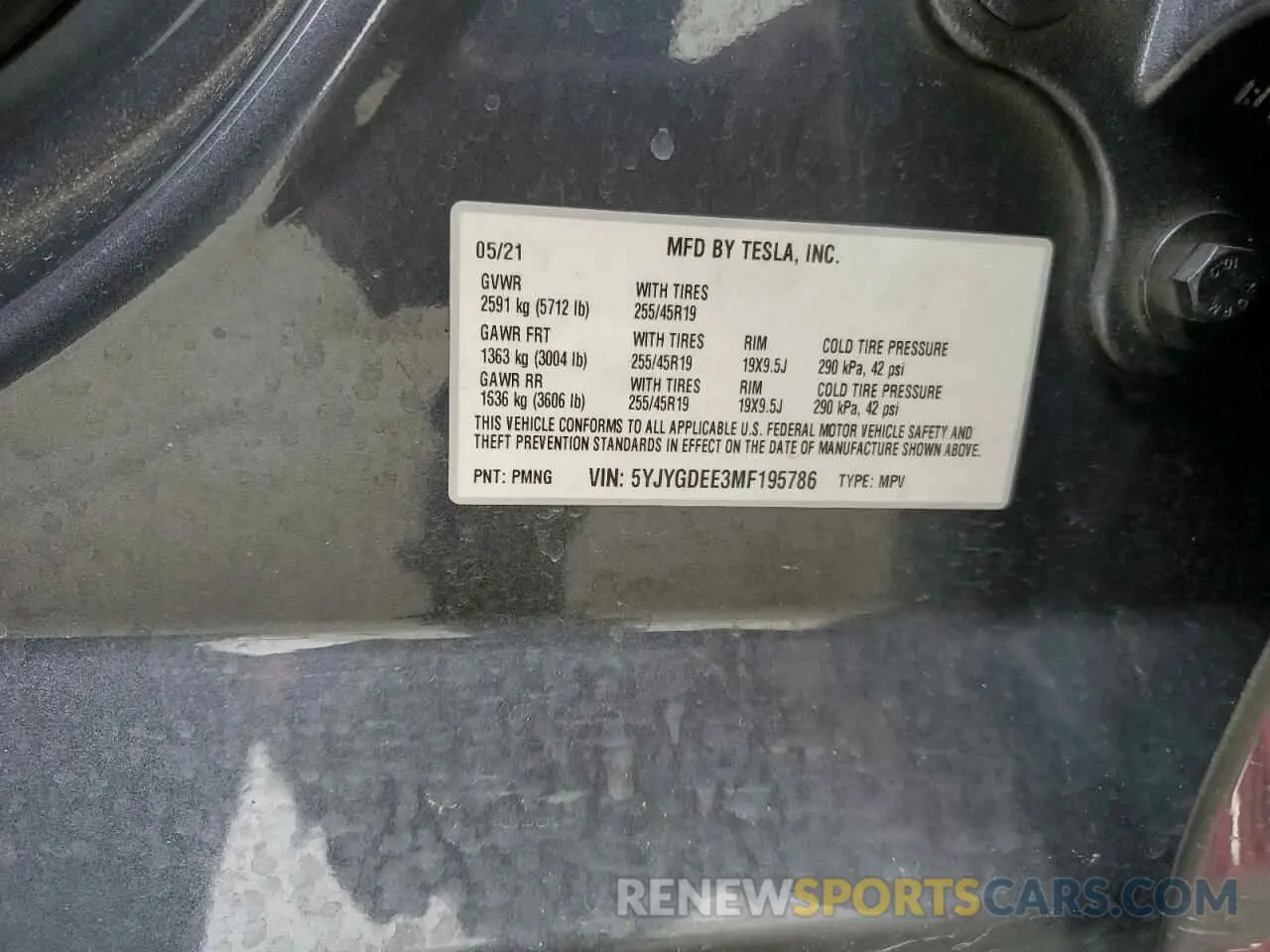 14 fotografías del automóvil dañado 5YJYGDEE3MF195786 TESLA MODEL Y 2021