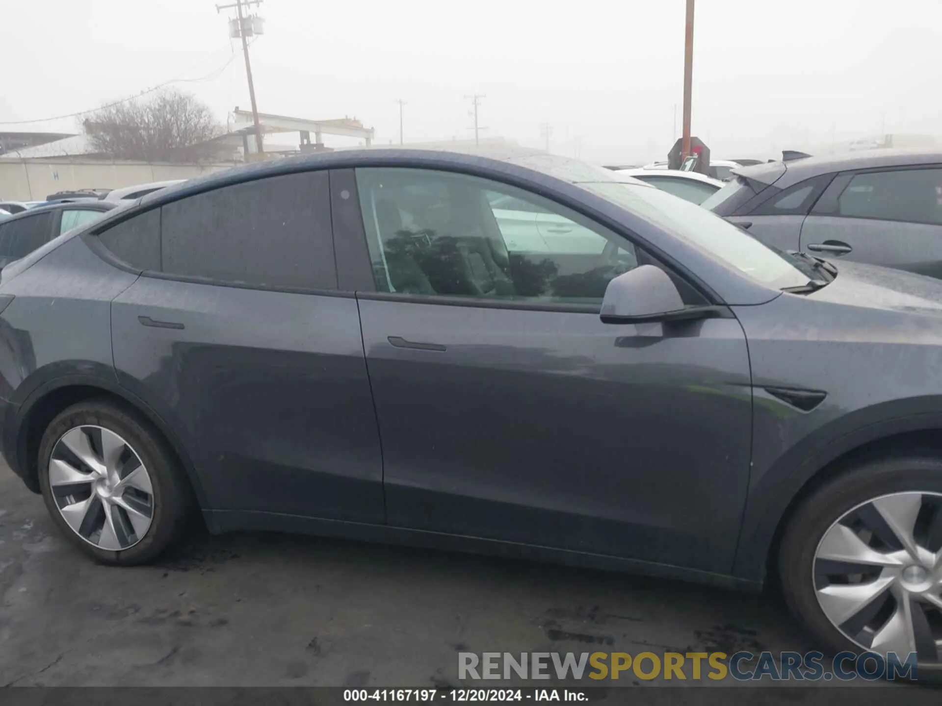 12 fotografías del automóvil dañado 5YJYGDEE3MF258160 TESLA MODEL Y 2021