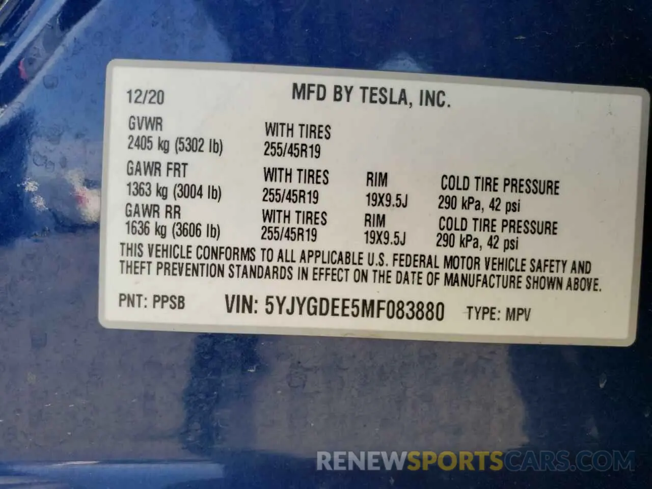 12 fotografías del automóvil dañado 5YJYGDEE5MF083880 TESLA MODEL Y 2021