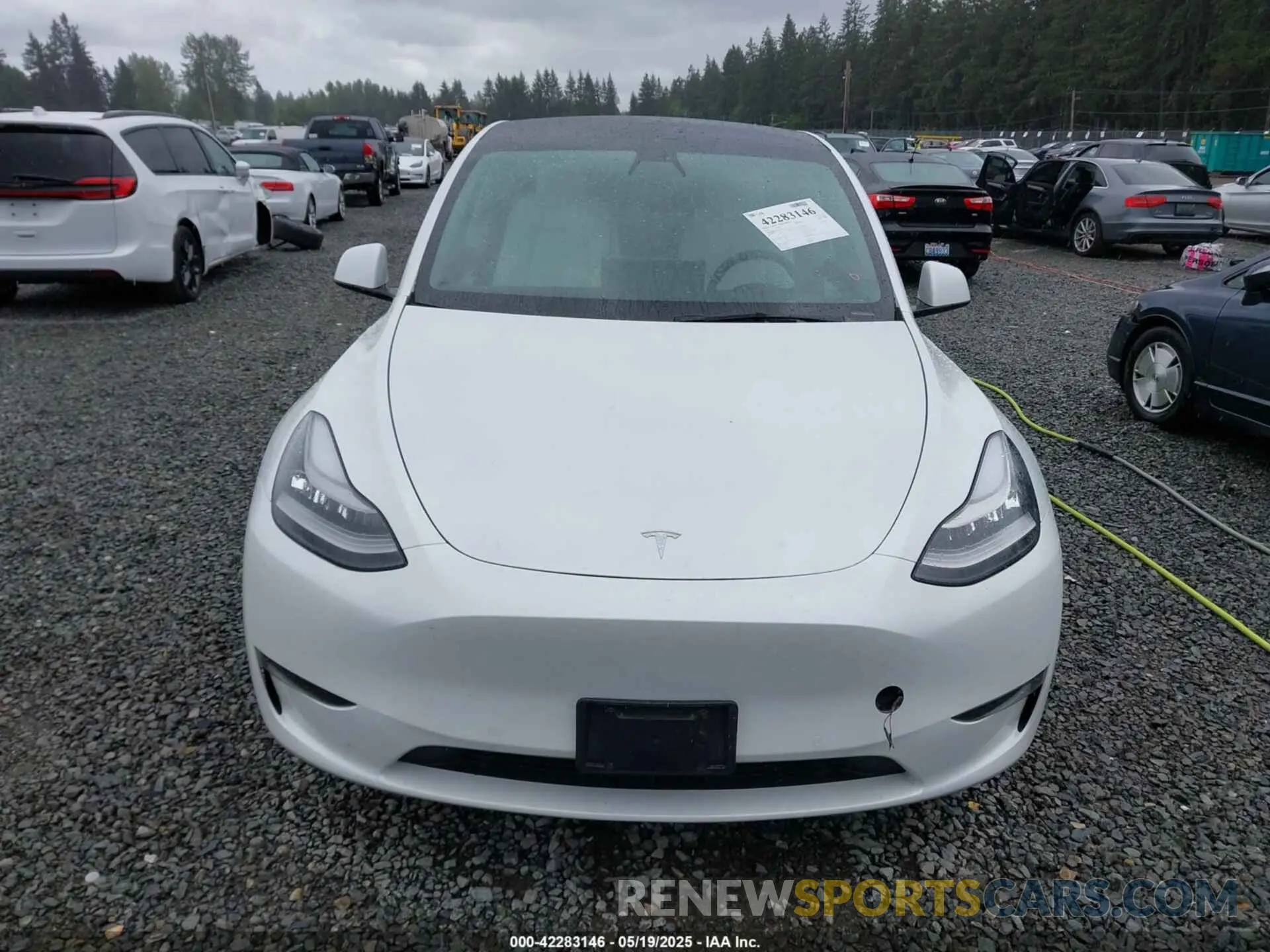 11 fotografías del automóvil dañado 5YJYGDEE5MF095771 TESLA MODEL Y 2021