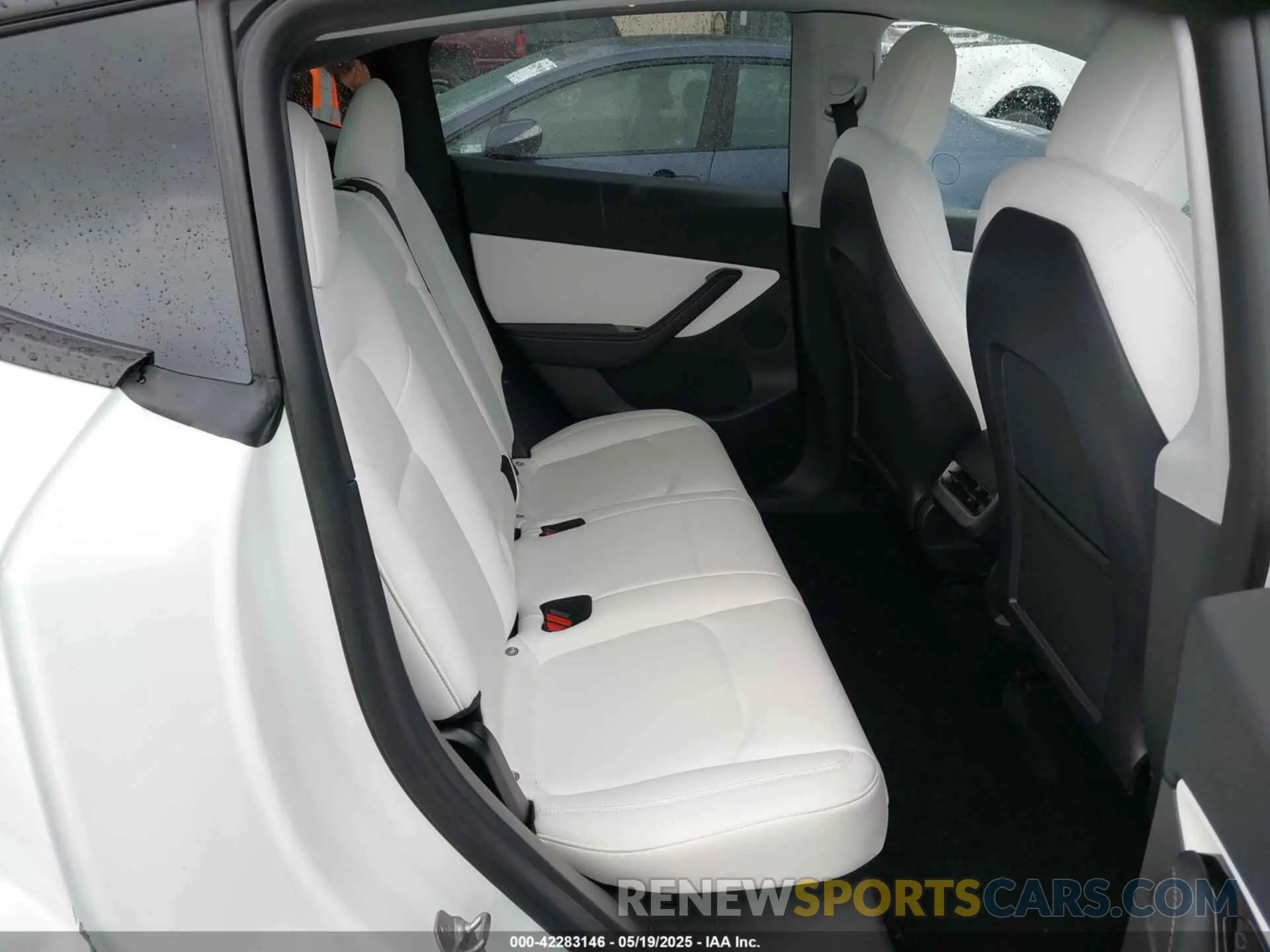 8 fotografías del automóvil dañado 5YJYGDEE5MF095771 TESLA MODEL Y 2021
