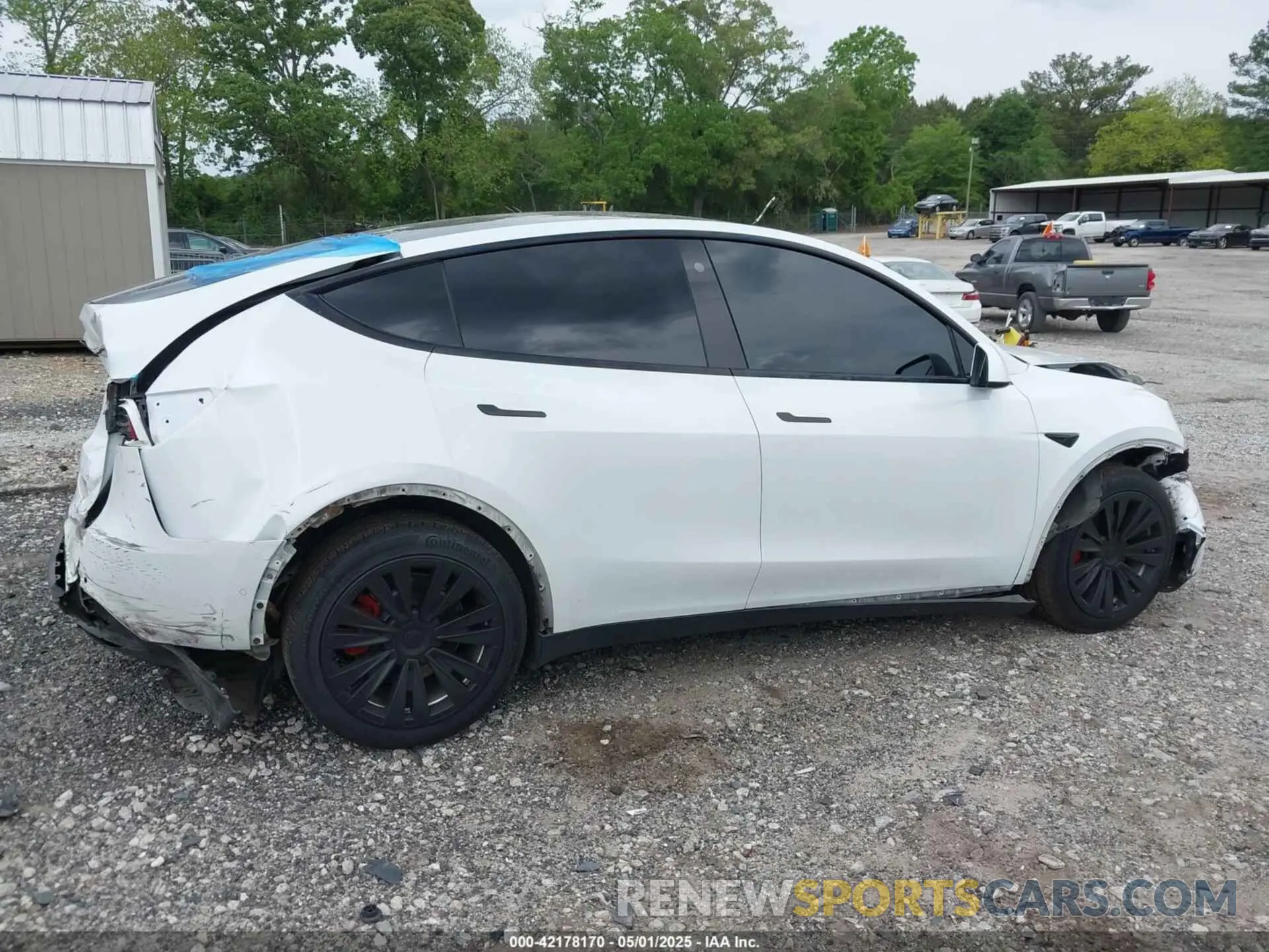 12 fotografías del automóvil dañado 5YJYGDEE6MF083029 TESLA MODEL Y 2021