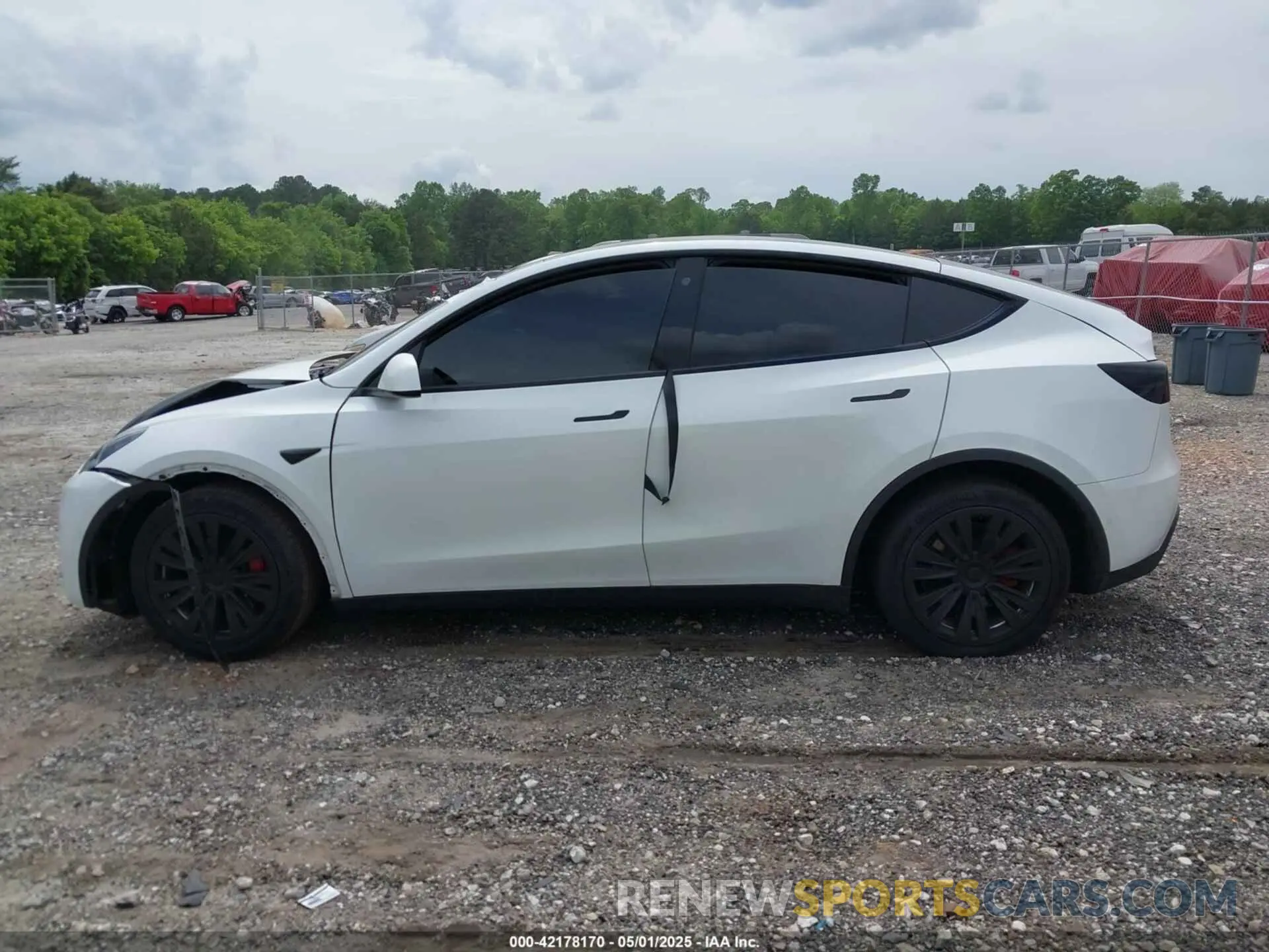 13 fotografías del automóvil dañado 5YJYGDEE6MF083029 TESLA MODEL Y 2021