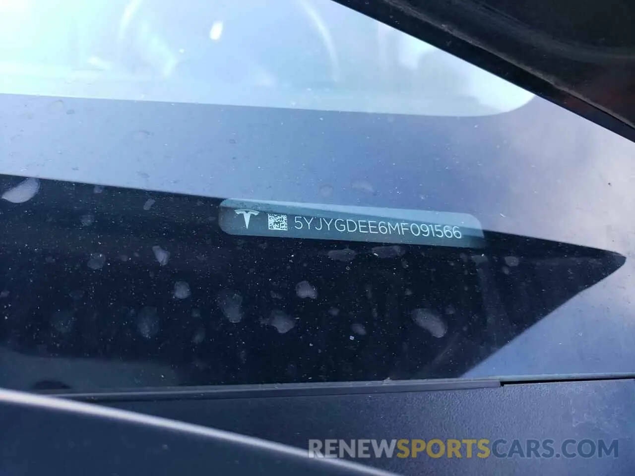 12 fotografías del automóvil dañado 5YJYGDEE6MF091566 TESLA MODEL Y 2021