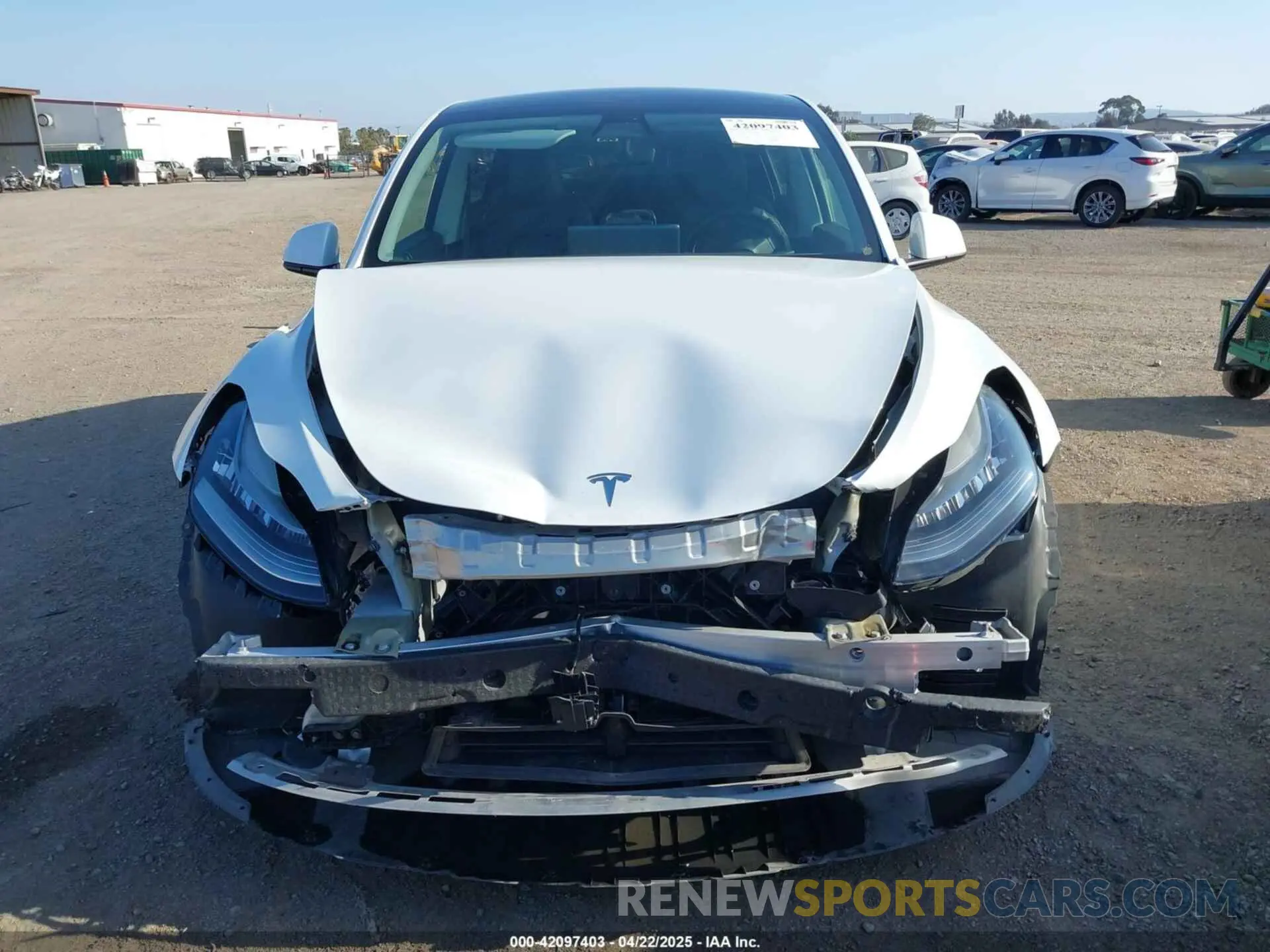 12 fotografías del automóvil dañado 5YJYGDEE6MF094788 TESLA MODEL Y 2021