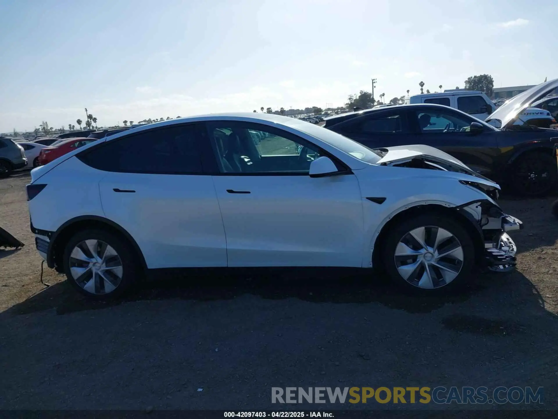13 fotografías del automóvil dañado 5YJYGDEE6MF094788 TESLA MODEL Y 2021