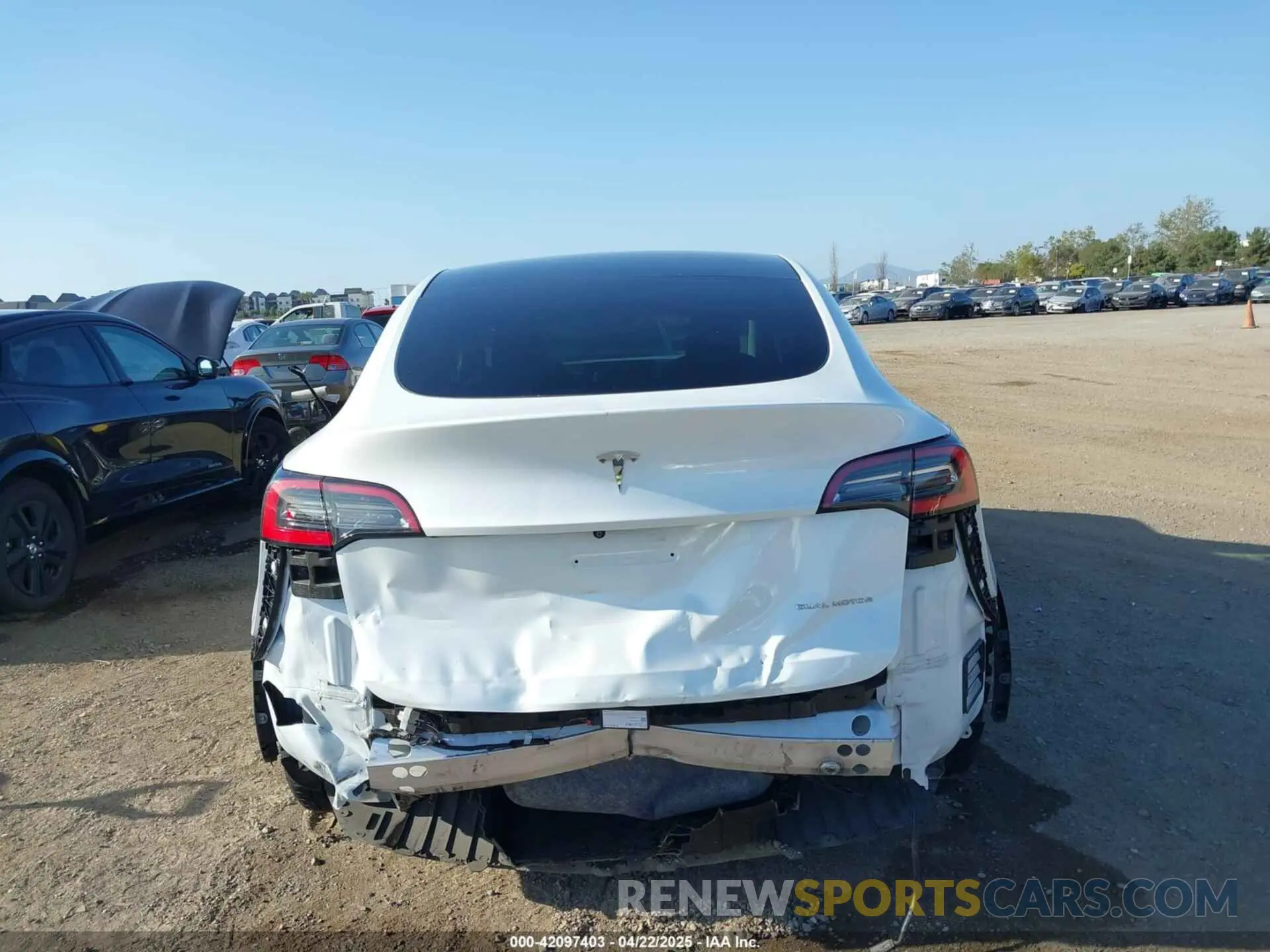 16 fotografías del automóvil dañado 5YJYGDEE6MF094788 TESLA MODEL Y 2021