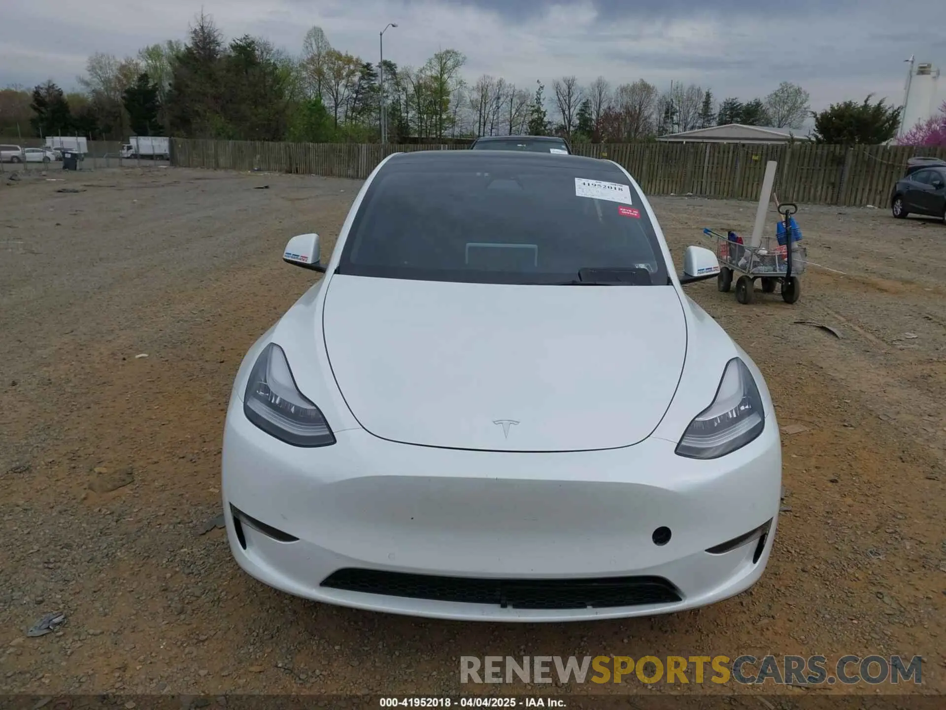 12 fotografías del automóvil dañado 5YJYGDEE6MF122363 TESLA MODEL Y 2021