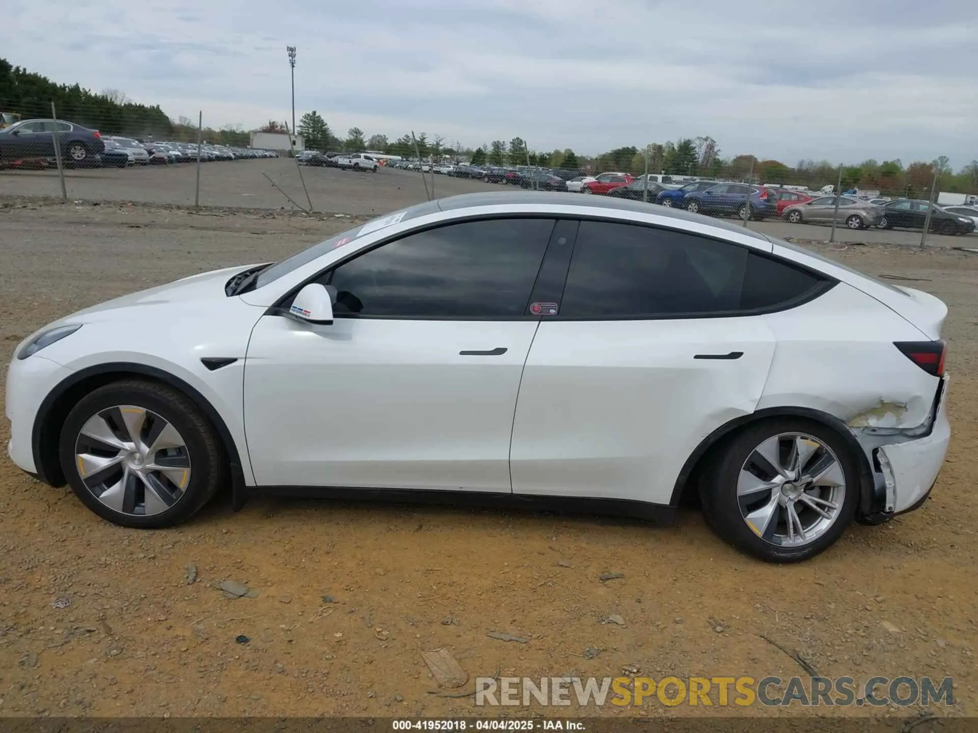 14 fotografías del automóvil dañado 5YJYGDEE6MF122363 TESLA MODEL Y 2021