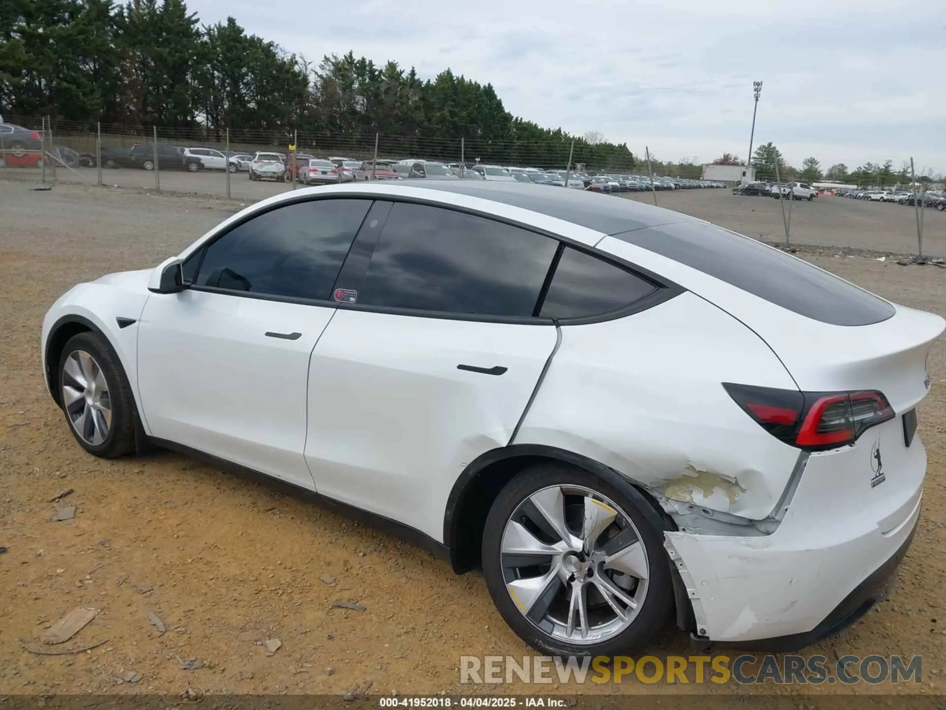 3 fotografías del automóvil dañado 5YJYGDEE6MF122363 TESLA MODEL Y 2021
