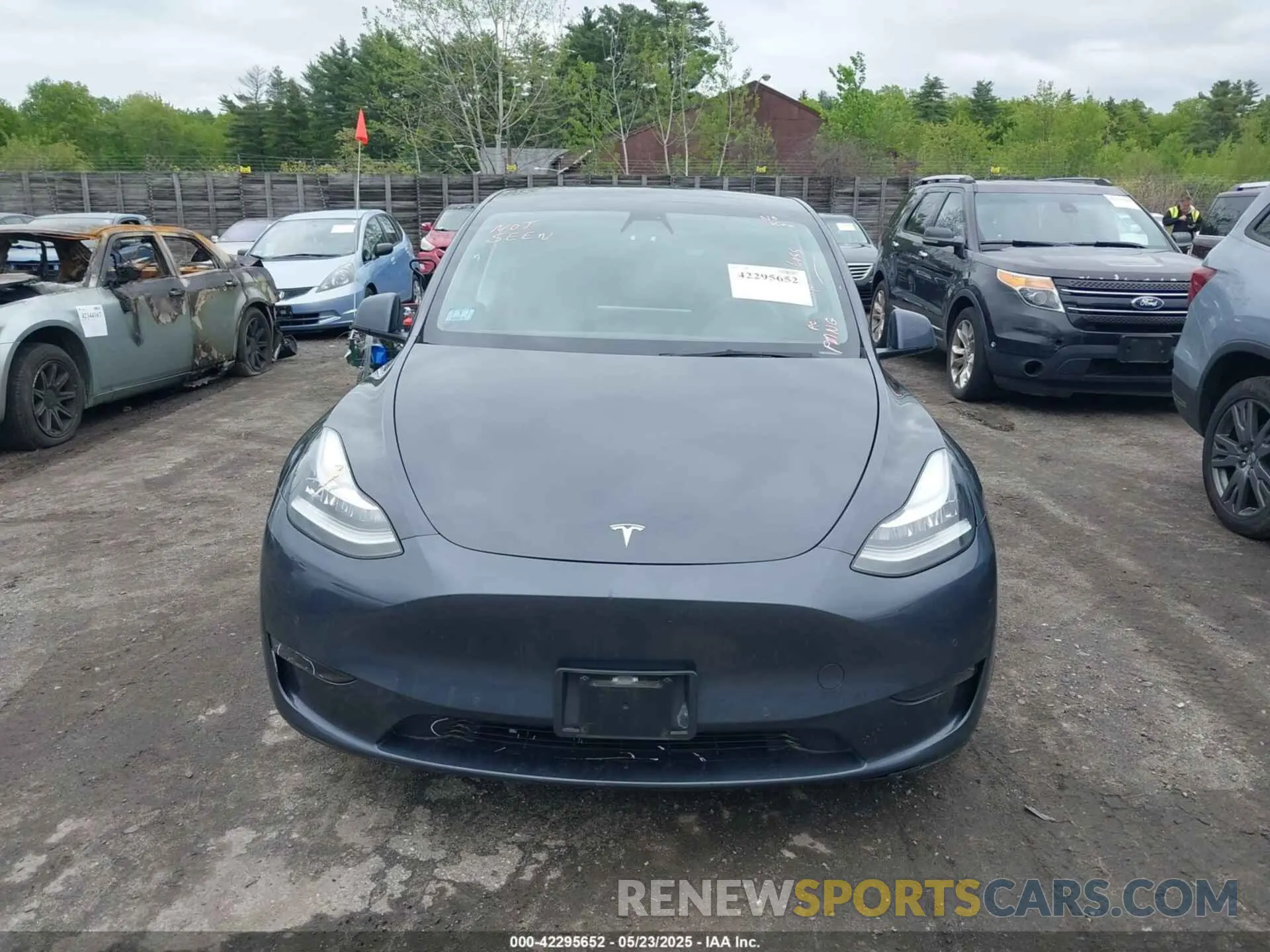 12 fotografías del automóvil dañado 5YJYGDEE6MF146341 TESLA MODEL Y 2021