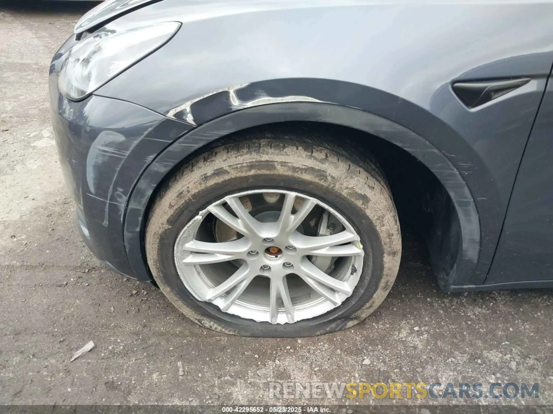 19 fotografías del automóvil dañado 5YJYGDEE6MF146341 TESLA MODEL Y 2021